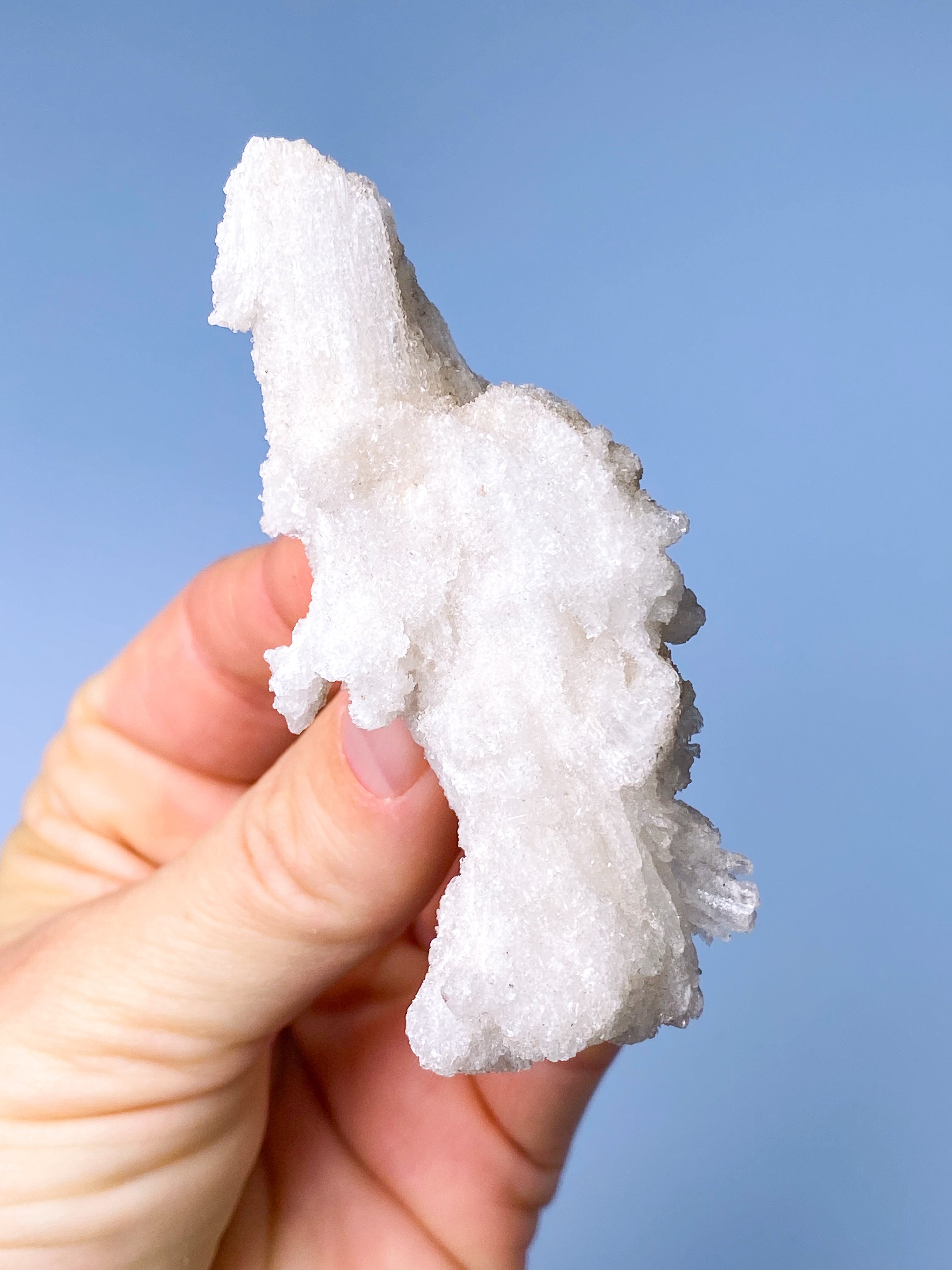 Rams Horn Selenit (Nr. 7) Eksklusiv Kvalitet