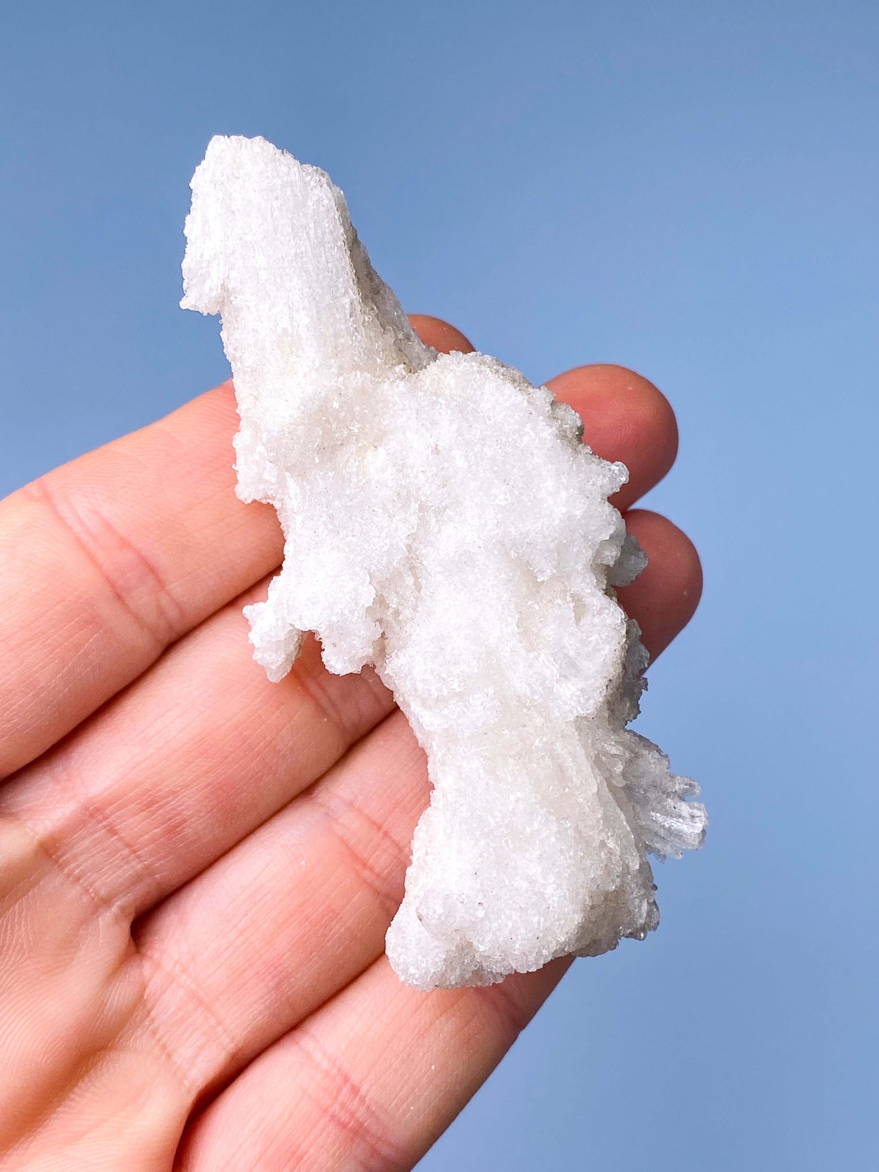 Rams Horn Selenit (Nr. 7) Eksklusiv Kvalitet