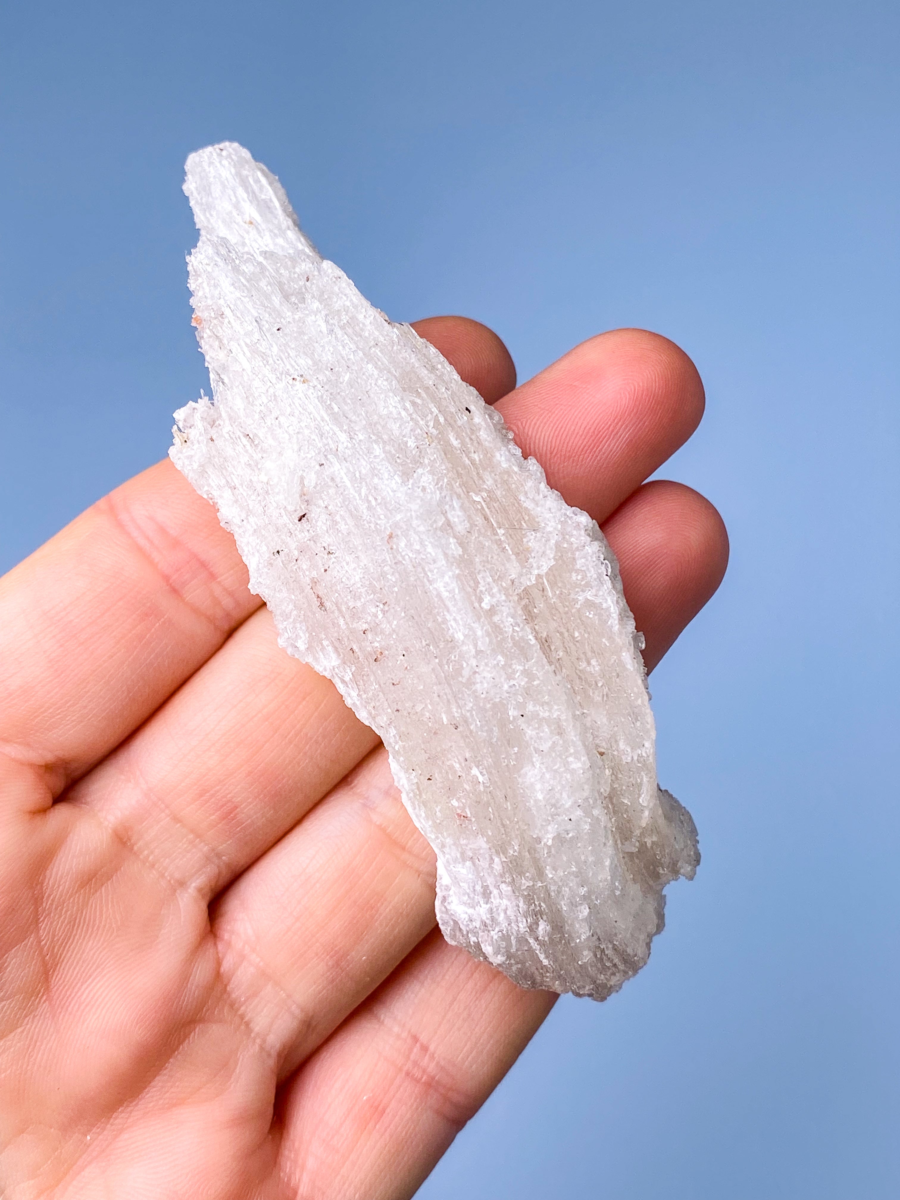 Rams Horn Selenit (Nr. 8) Eksklusiv Kvalitet