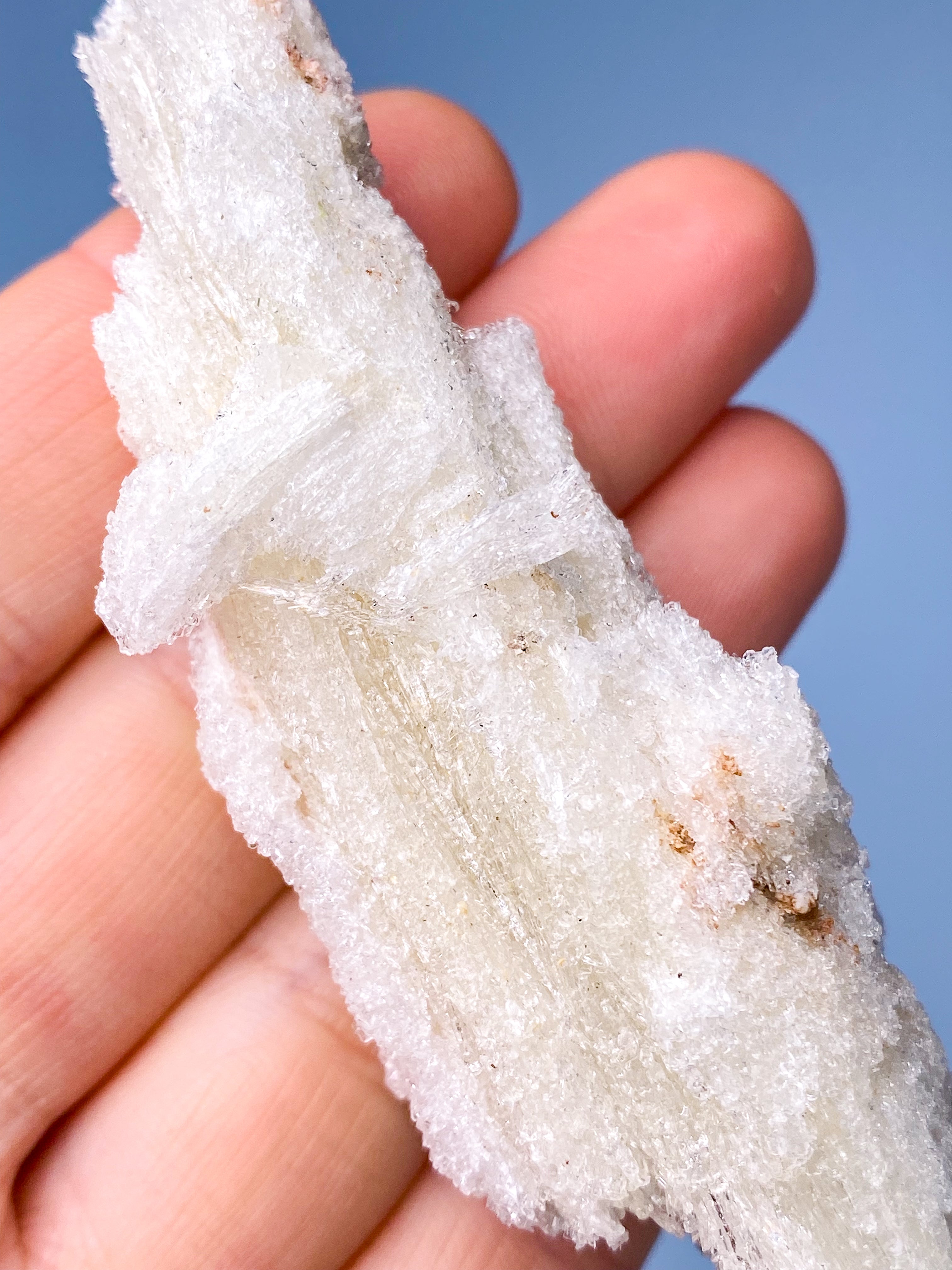 Rams Horn Selenit (Nr. 10) Eksklusiv Kvalitet