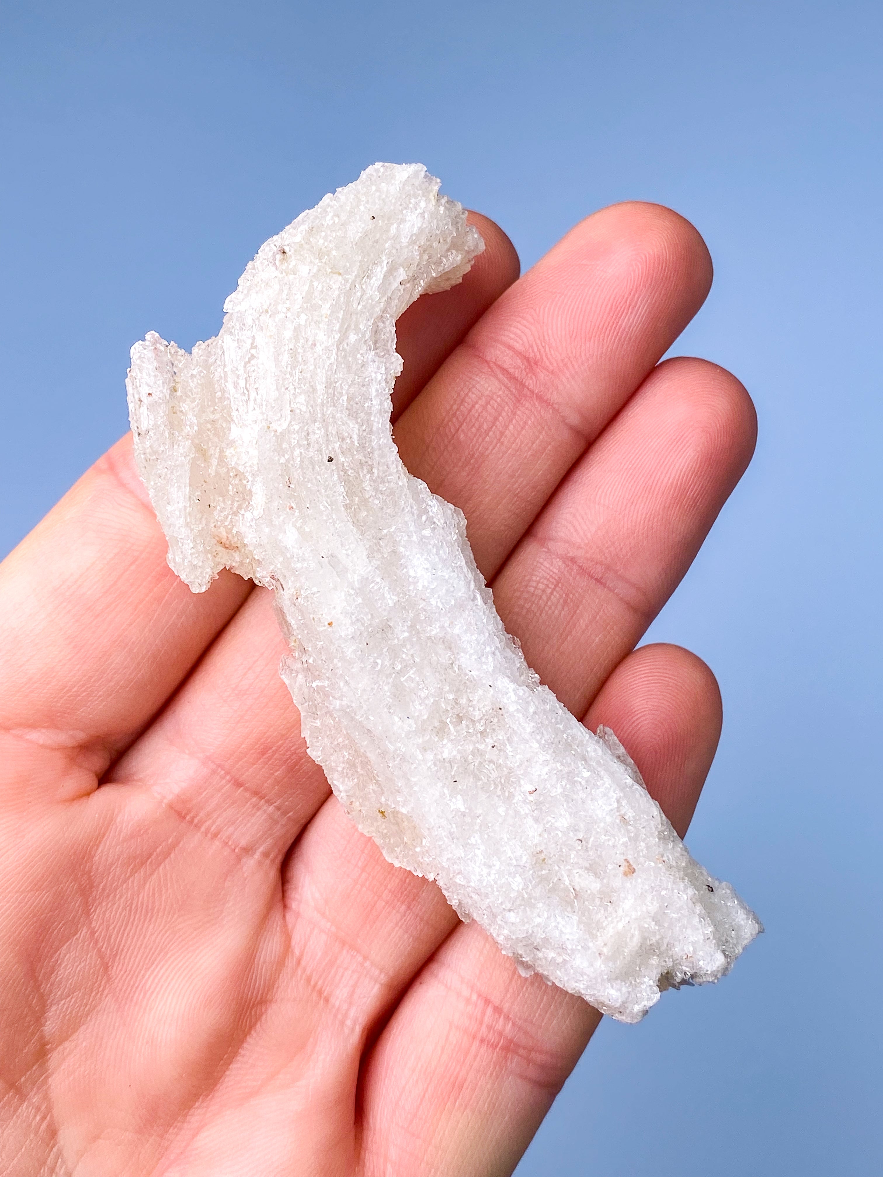 Rams Horn Selenit (Nr. 12) Eksklusiv Kvalitet