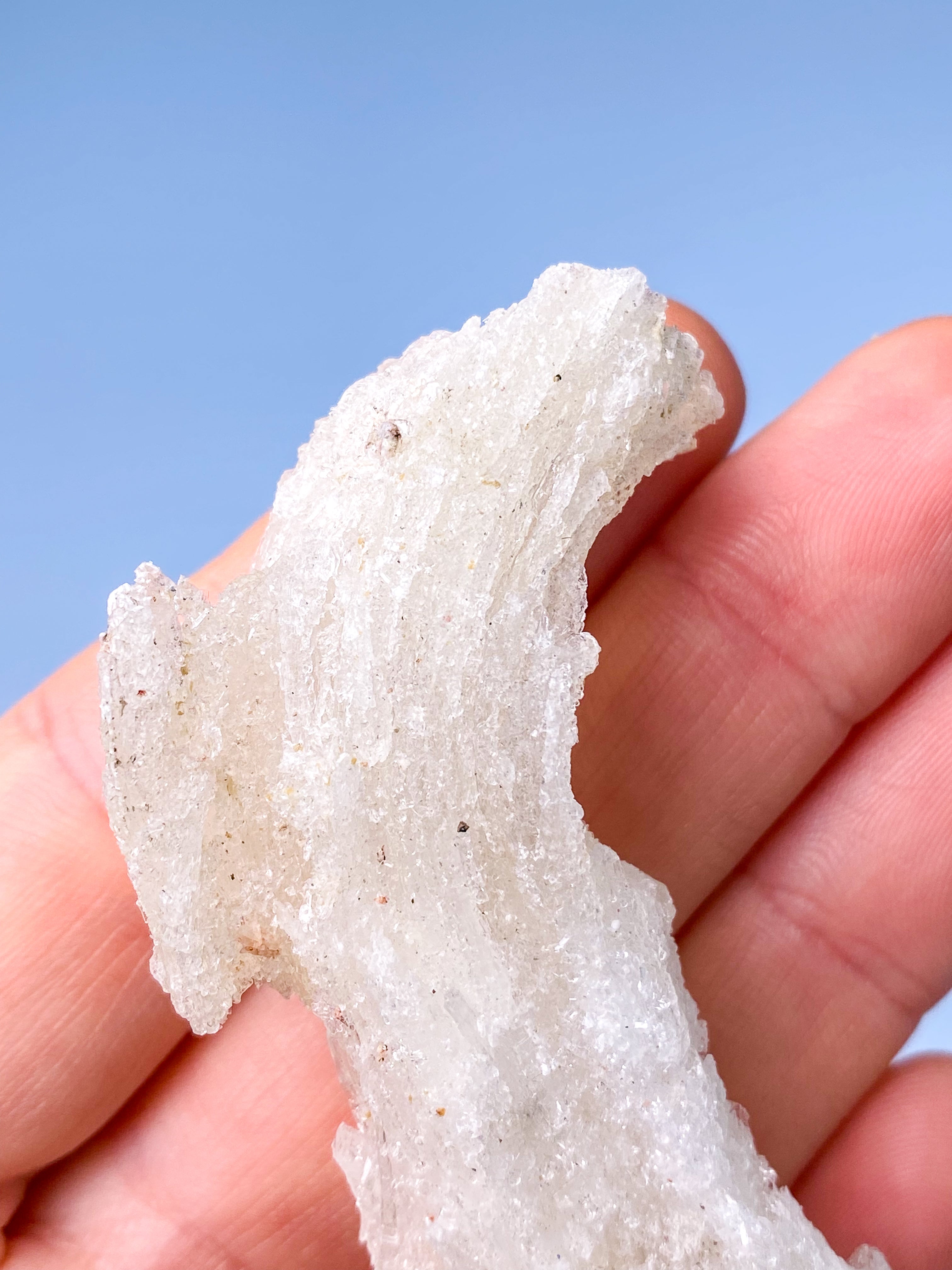 Rams Horn Selenit (Nr. 12) Eksklusiv Kvalitet