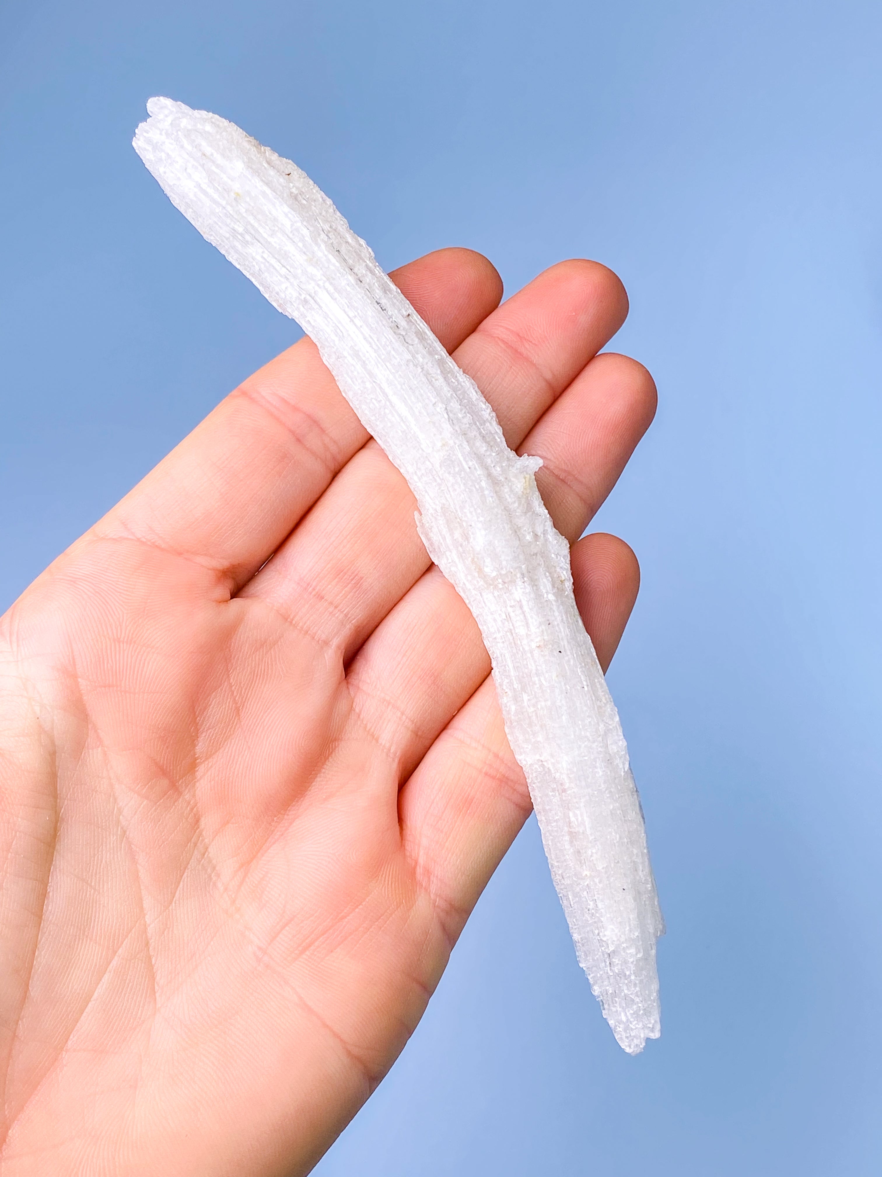 Rams Horn Selenit (Nr. 14) Eksklusiv Kvalitet