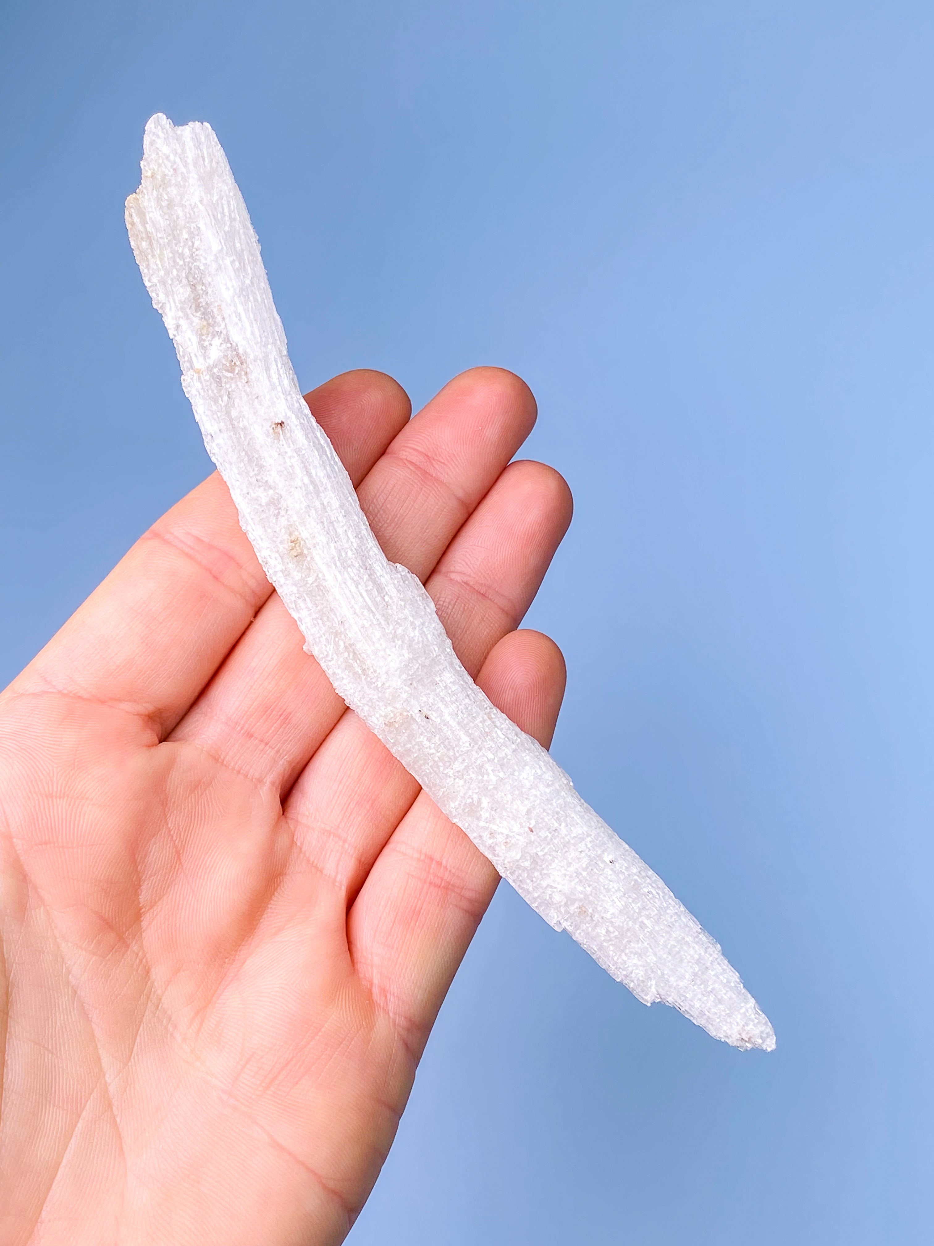 Rams Horn Selenit (Nr. 14) Eksklusiv Kvalitet