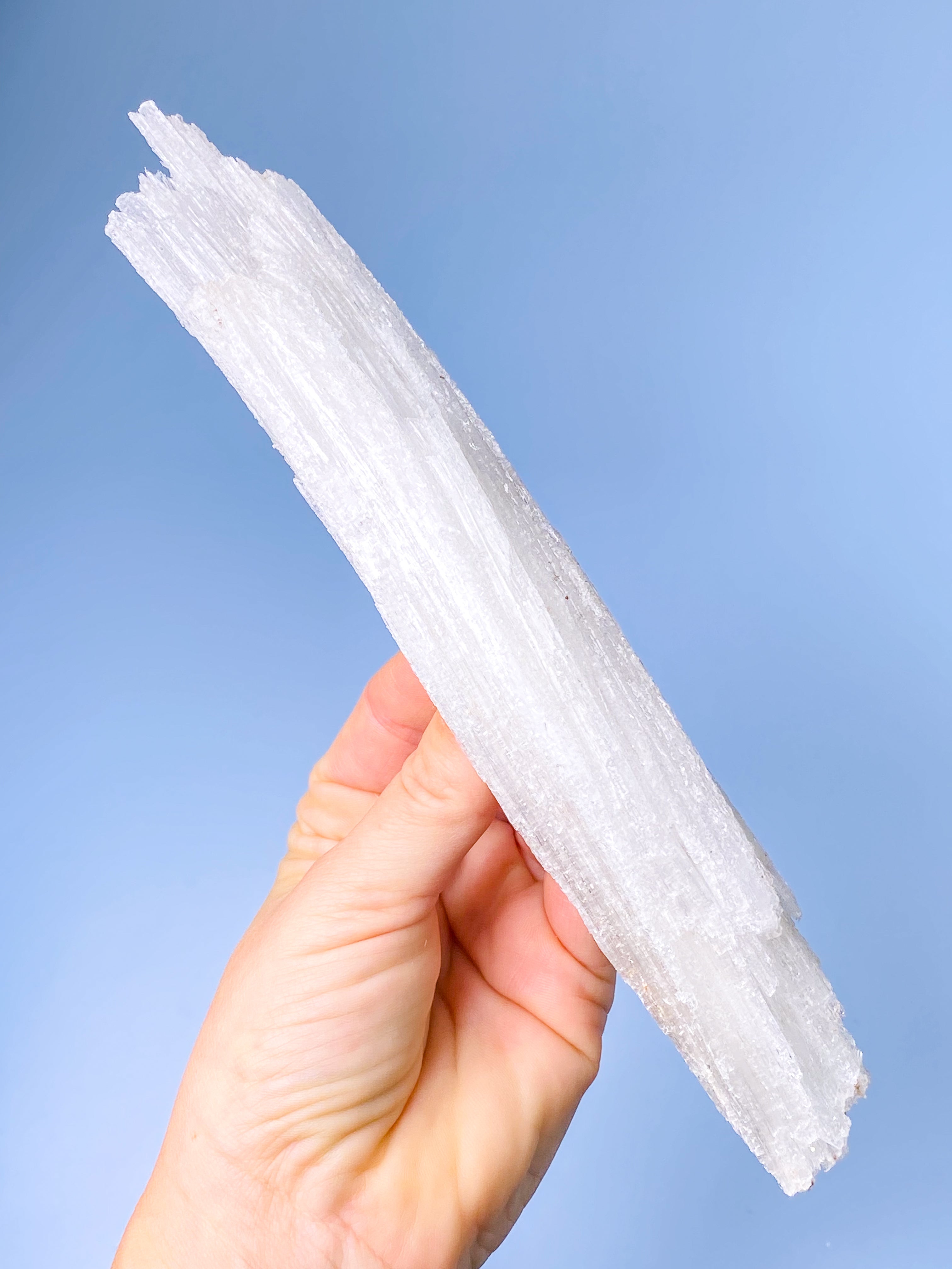 Rams Horn Selenit (Nr. 15) Eksklusiv Kvalitet