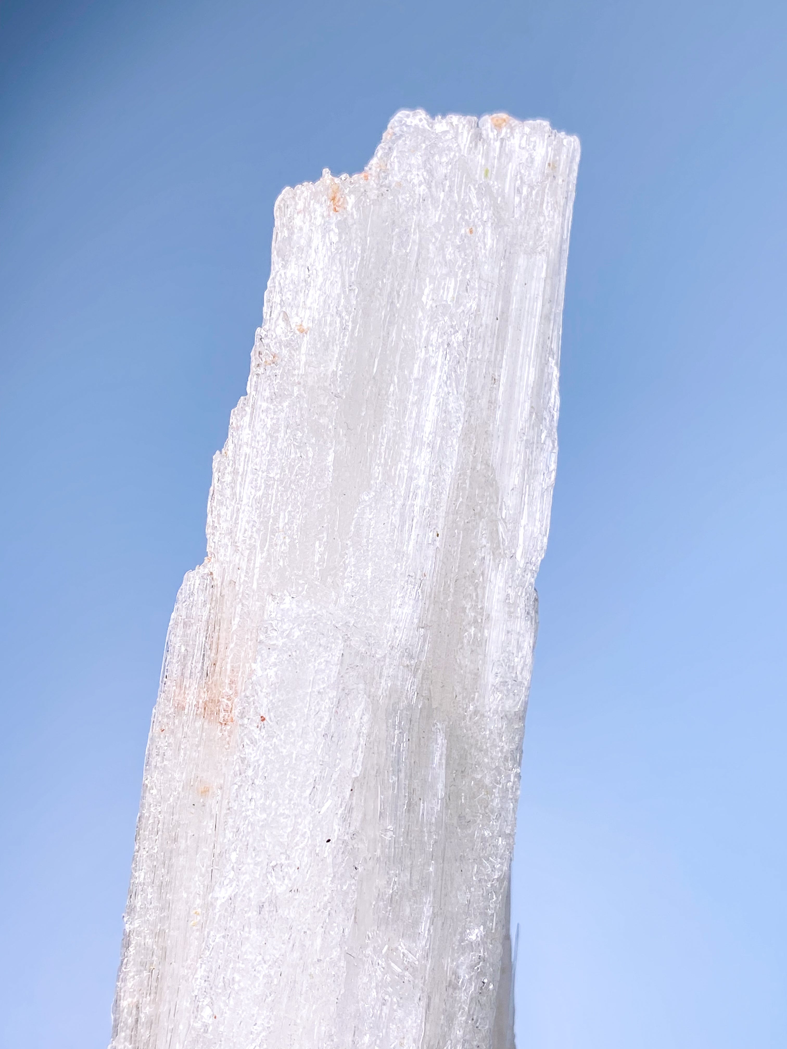 Rams Horn Selenit (Nr. 15) Eksklusiv Kvalitet