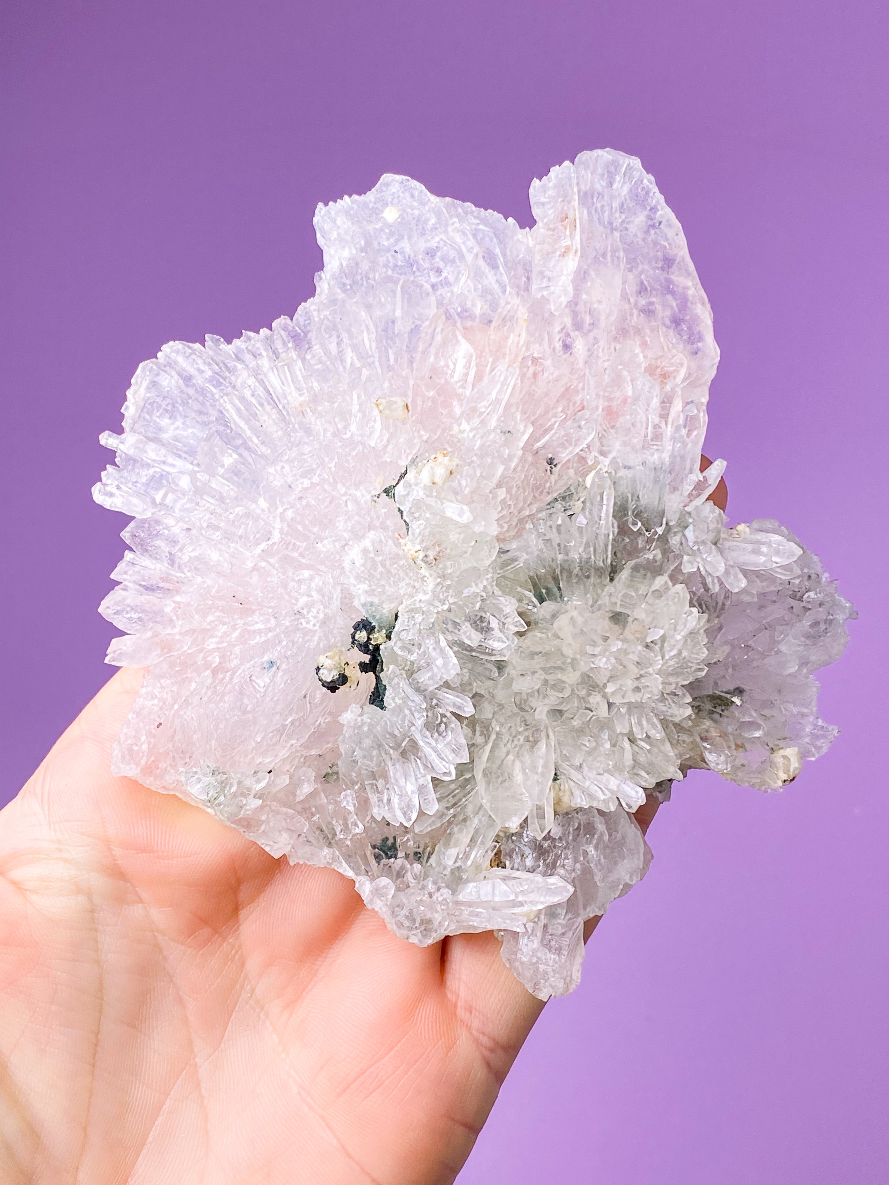 Flower Amethyst (No. 53) Exclusive Quality