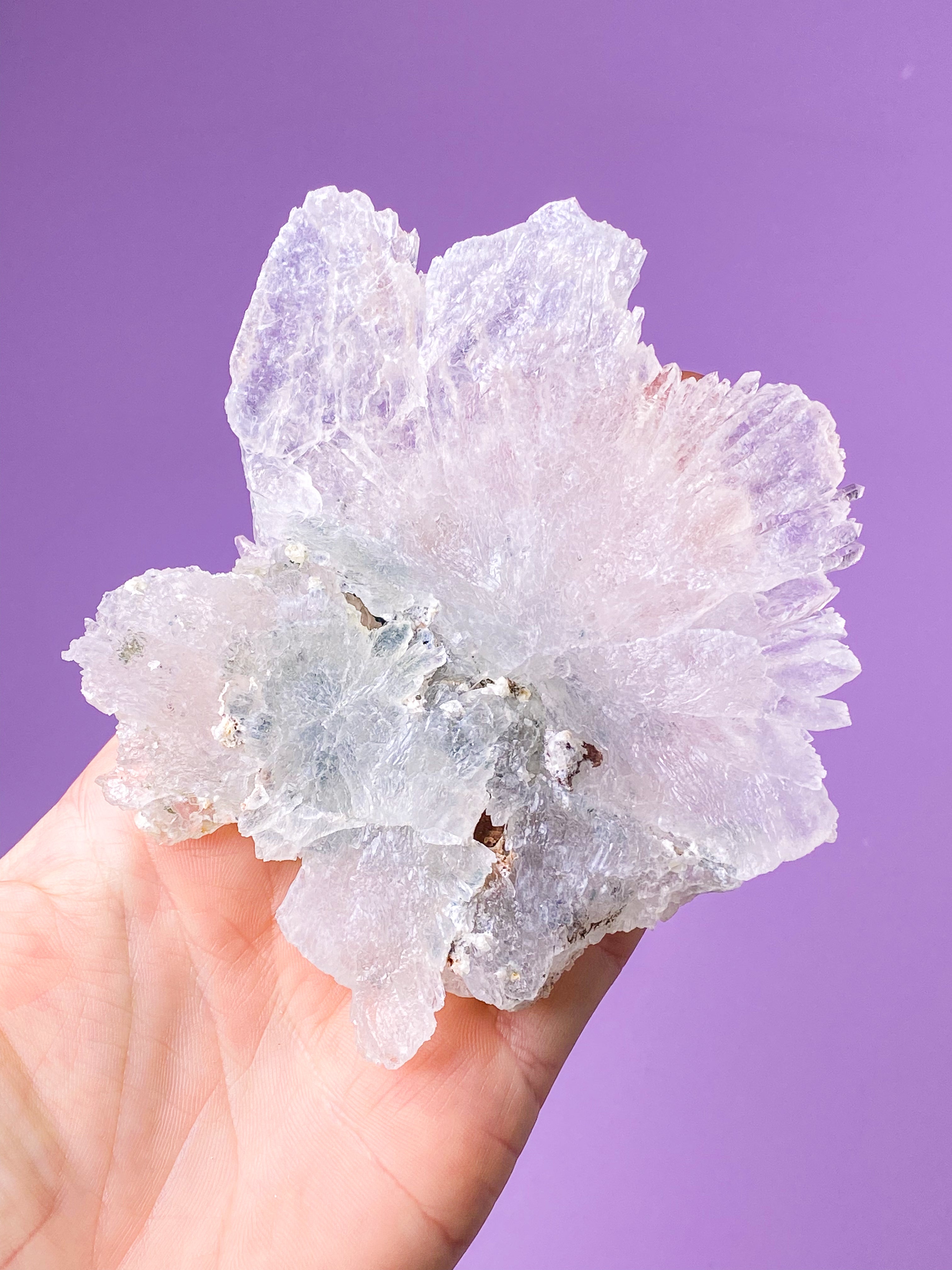 Flower Amethyst (No. 53) Exclusive Quality