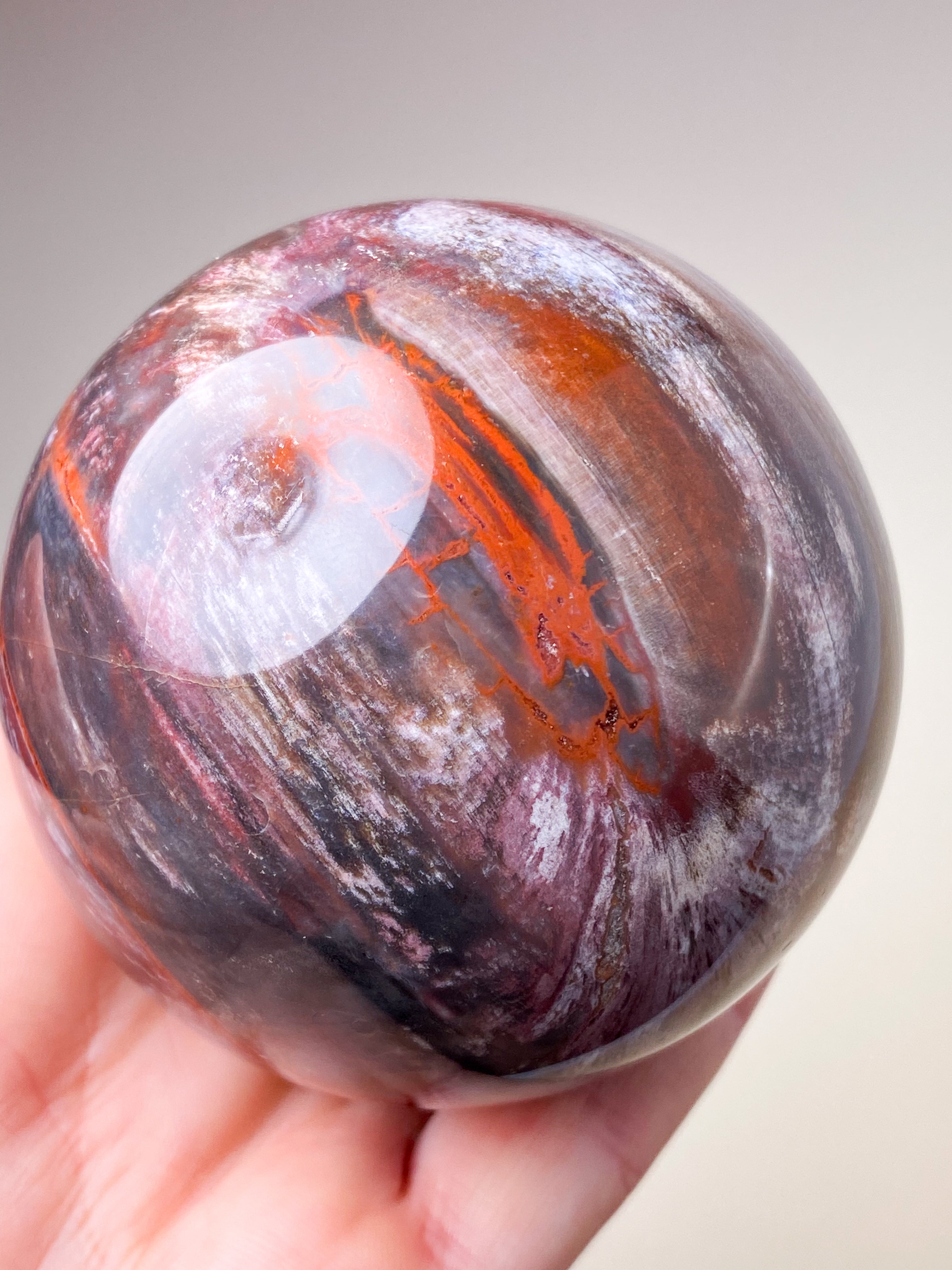 Forstenet Træ Kugle (Nr. 2)