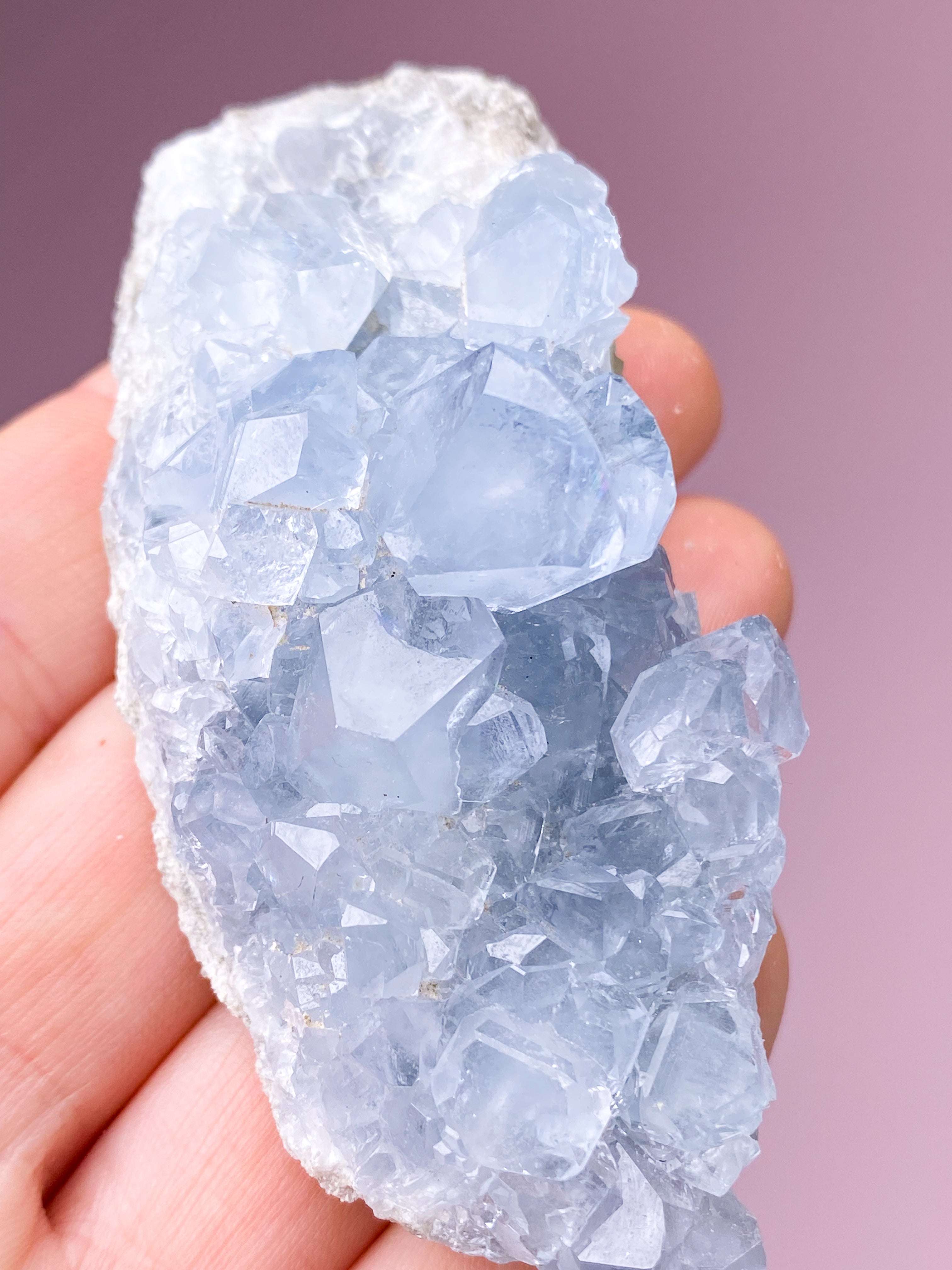 Celestit Cluster (nr 4)