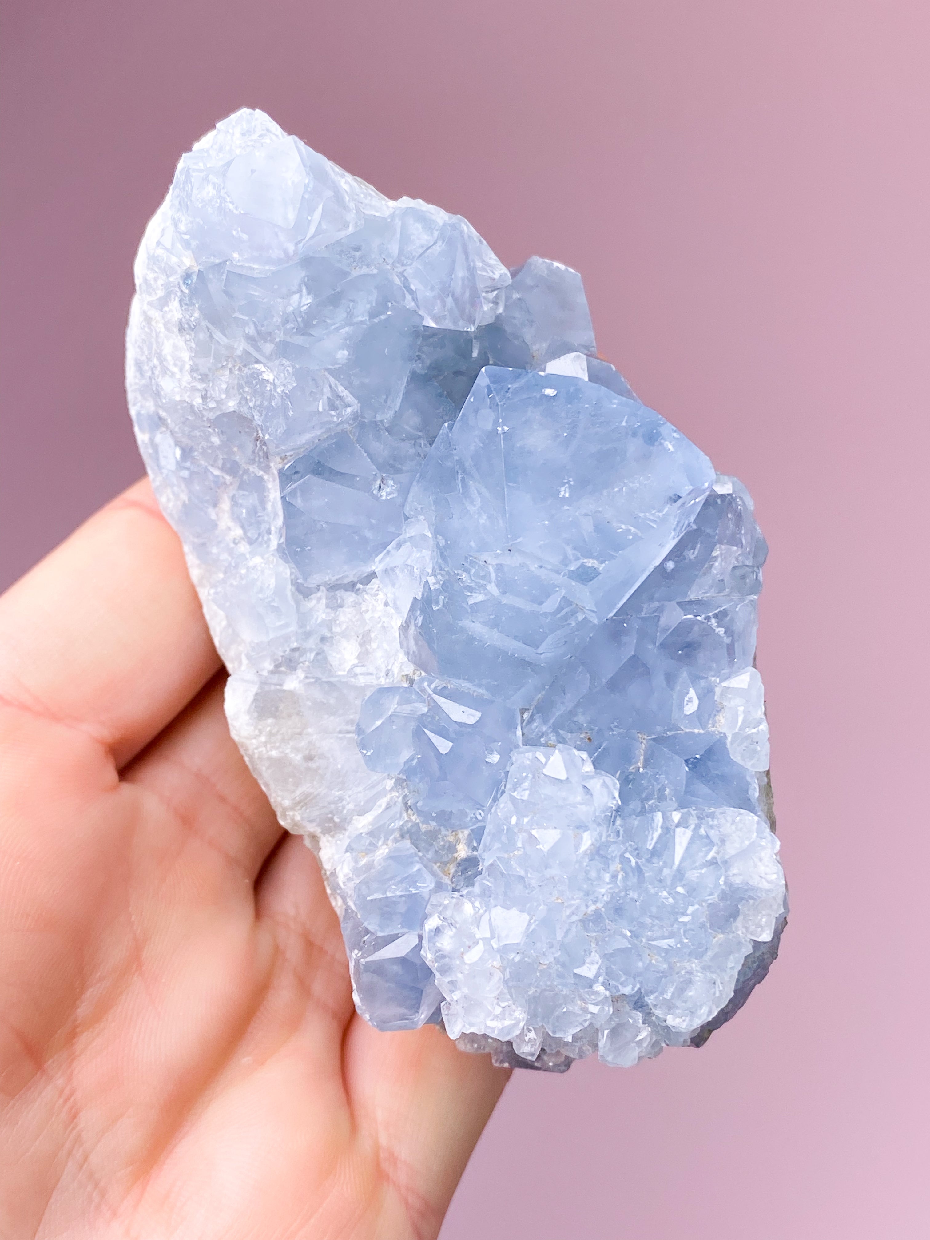 Celestit Cluster (nr 4)