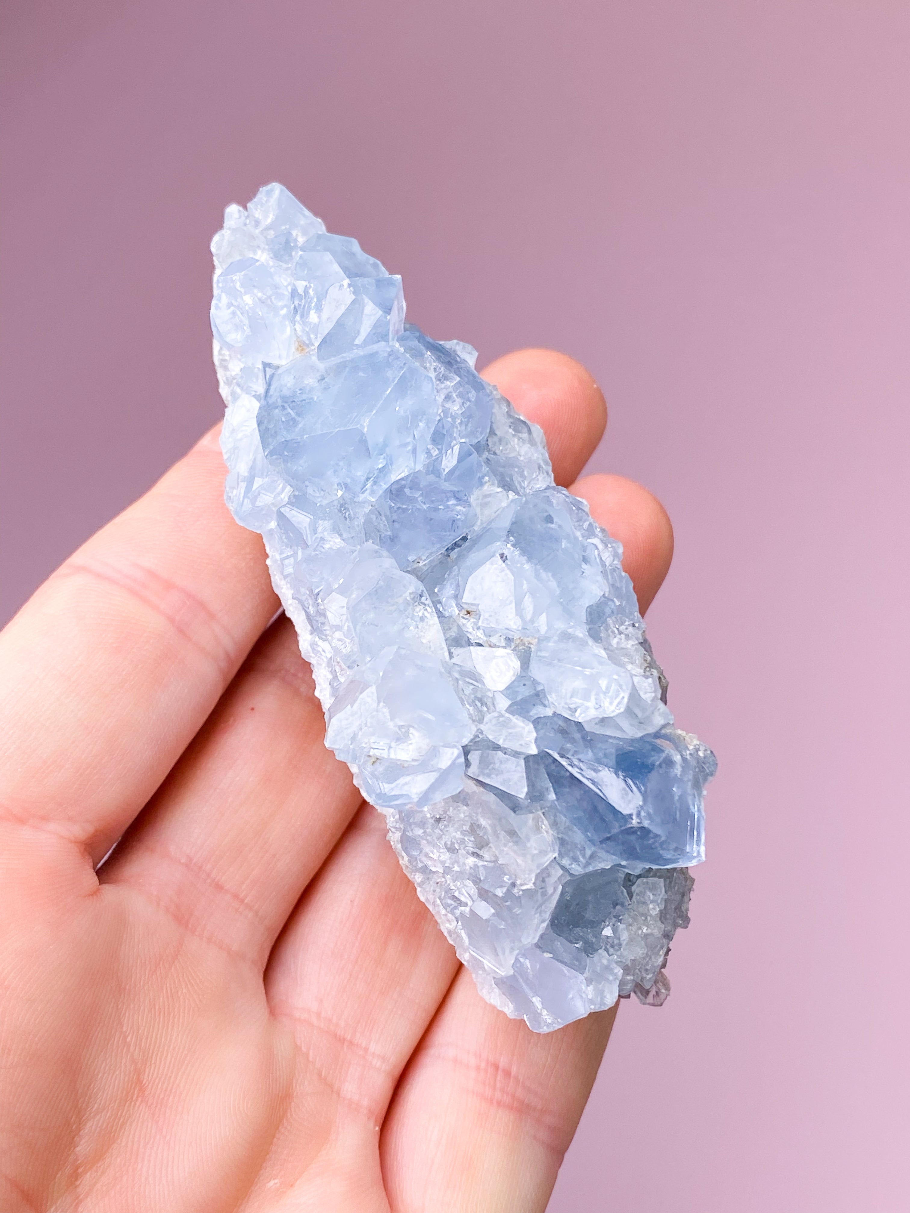 Celestit Cluster (nr 4)