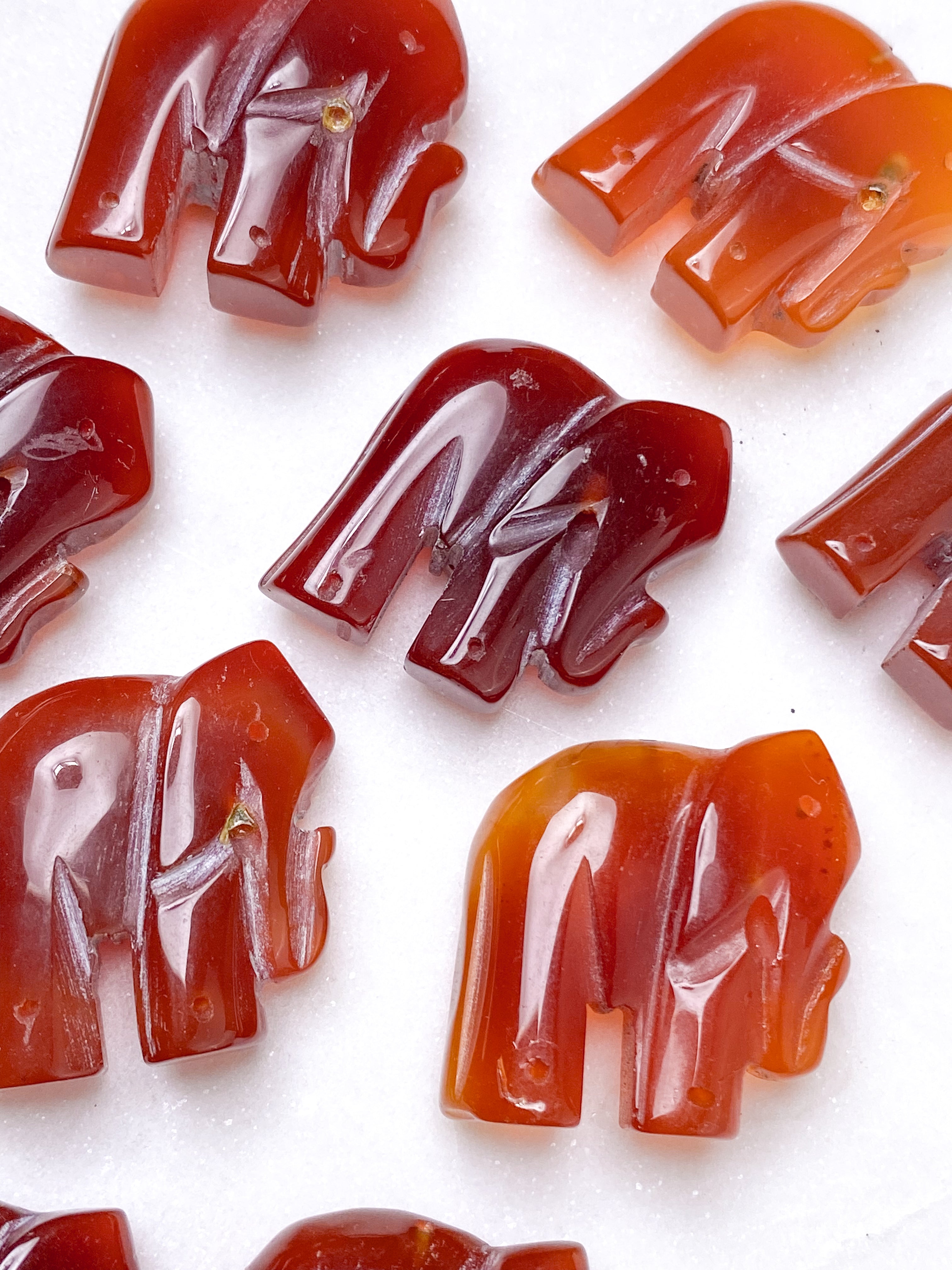 Karneol Elefant Magnet