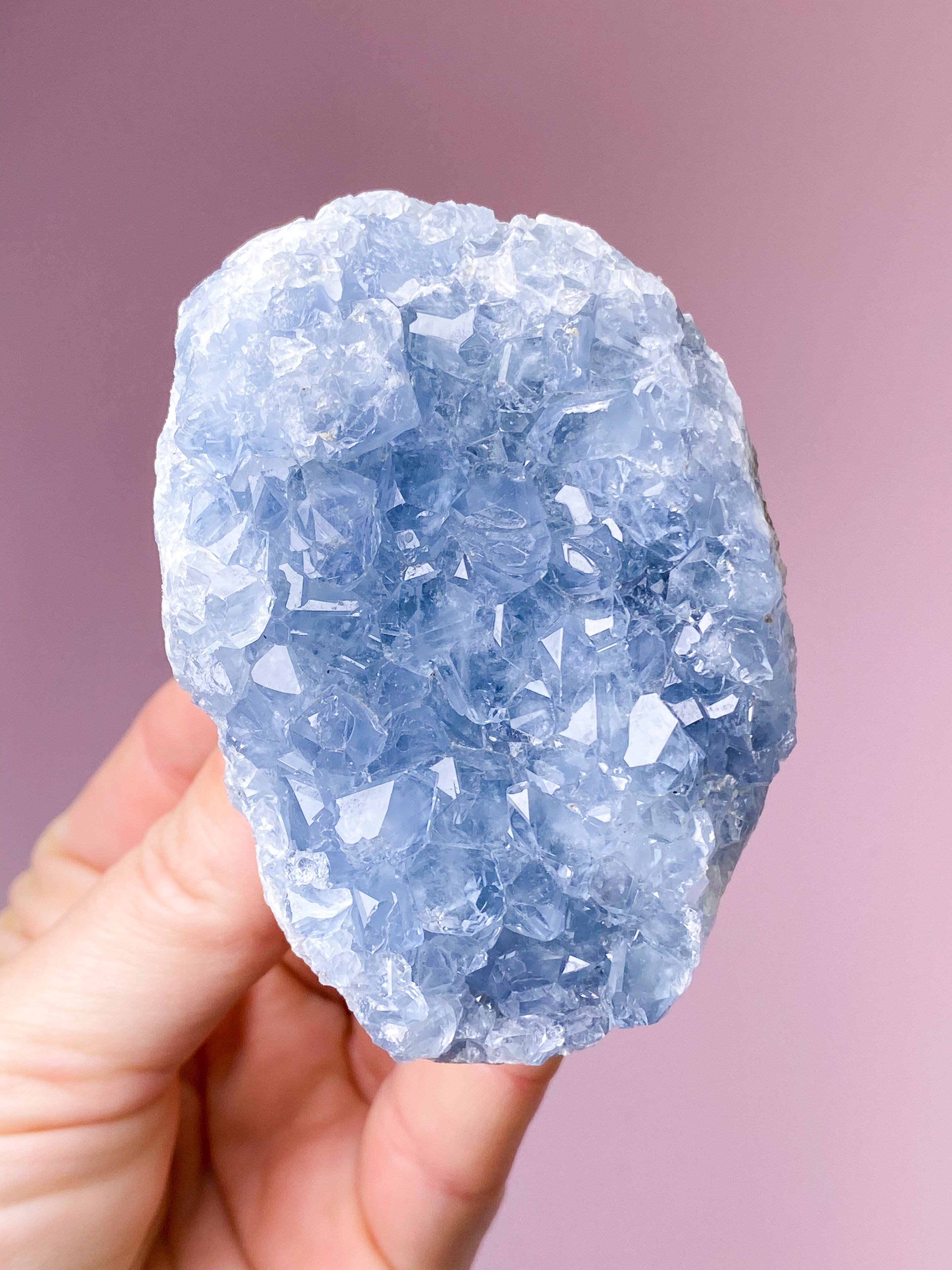 Celestit Cluster (nr 4)