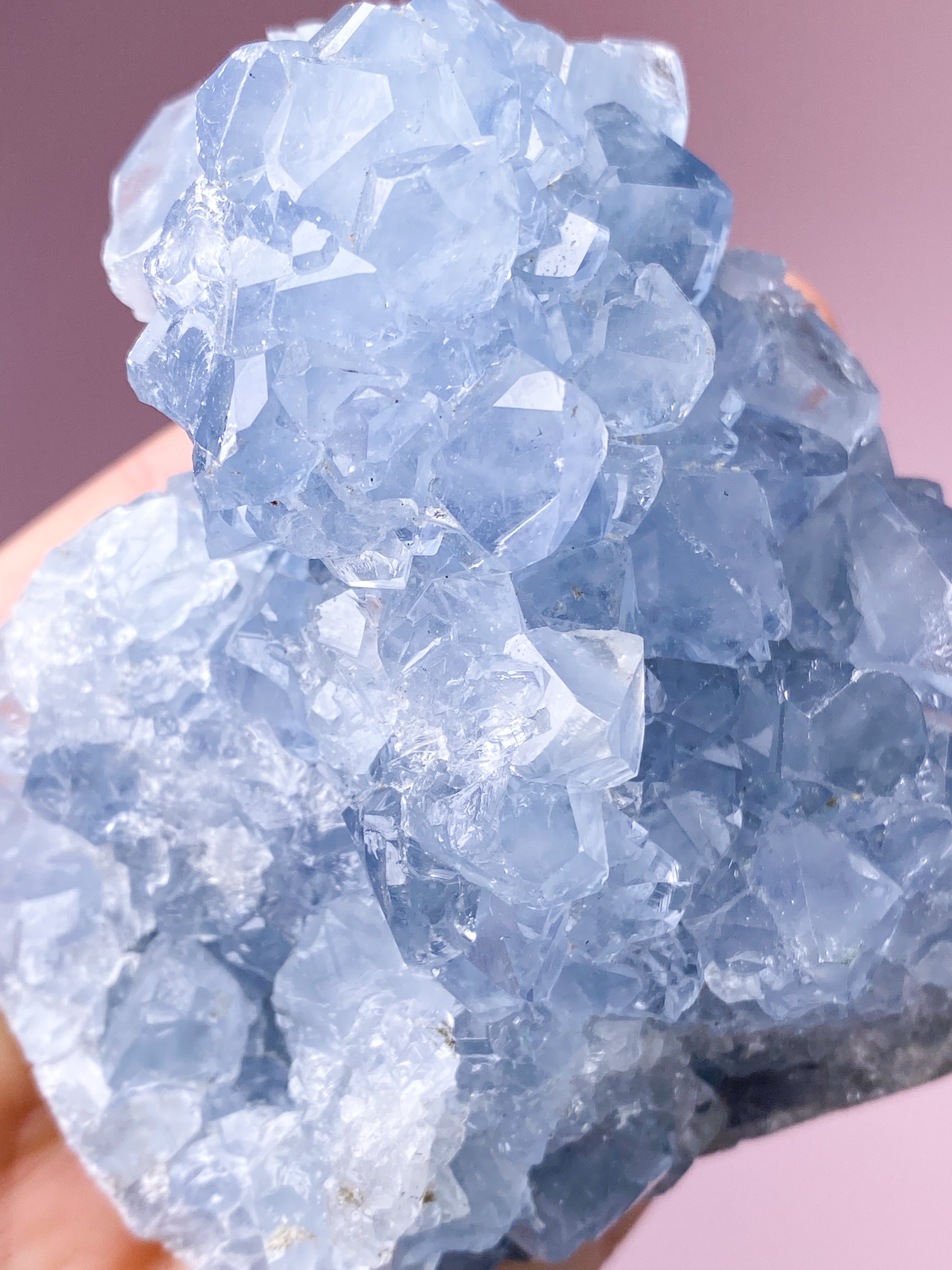 Celestit Klynge (Nr. 74)