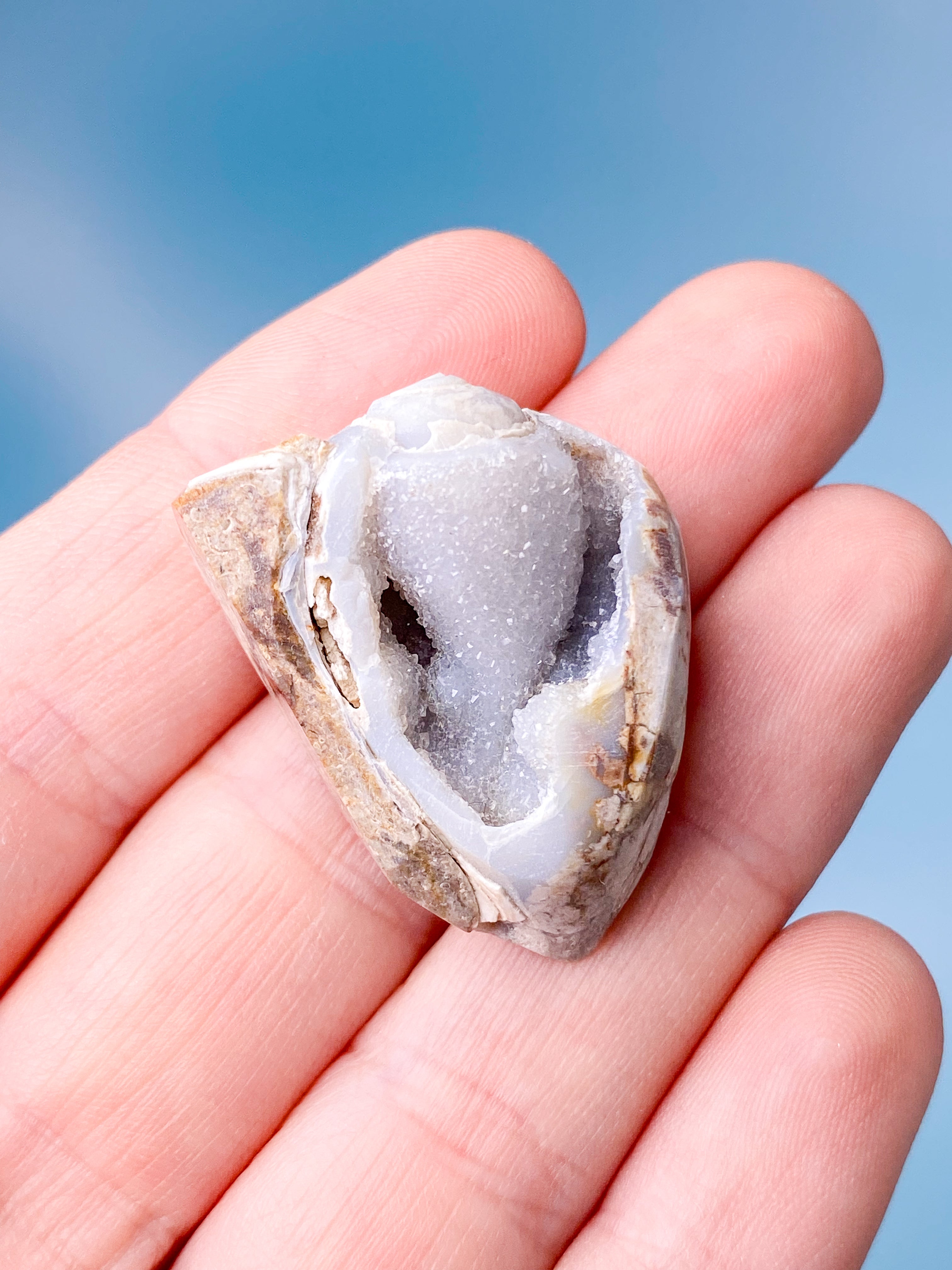 Druzy Konkylie Fossil (Nr. 5)