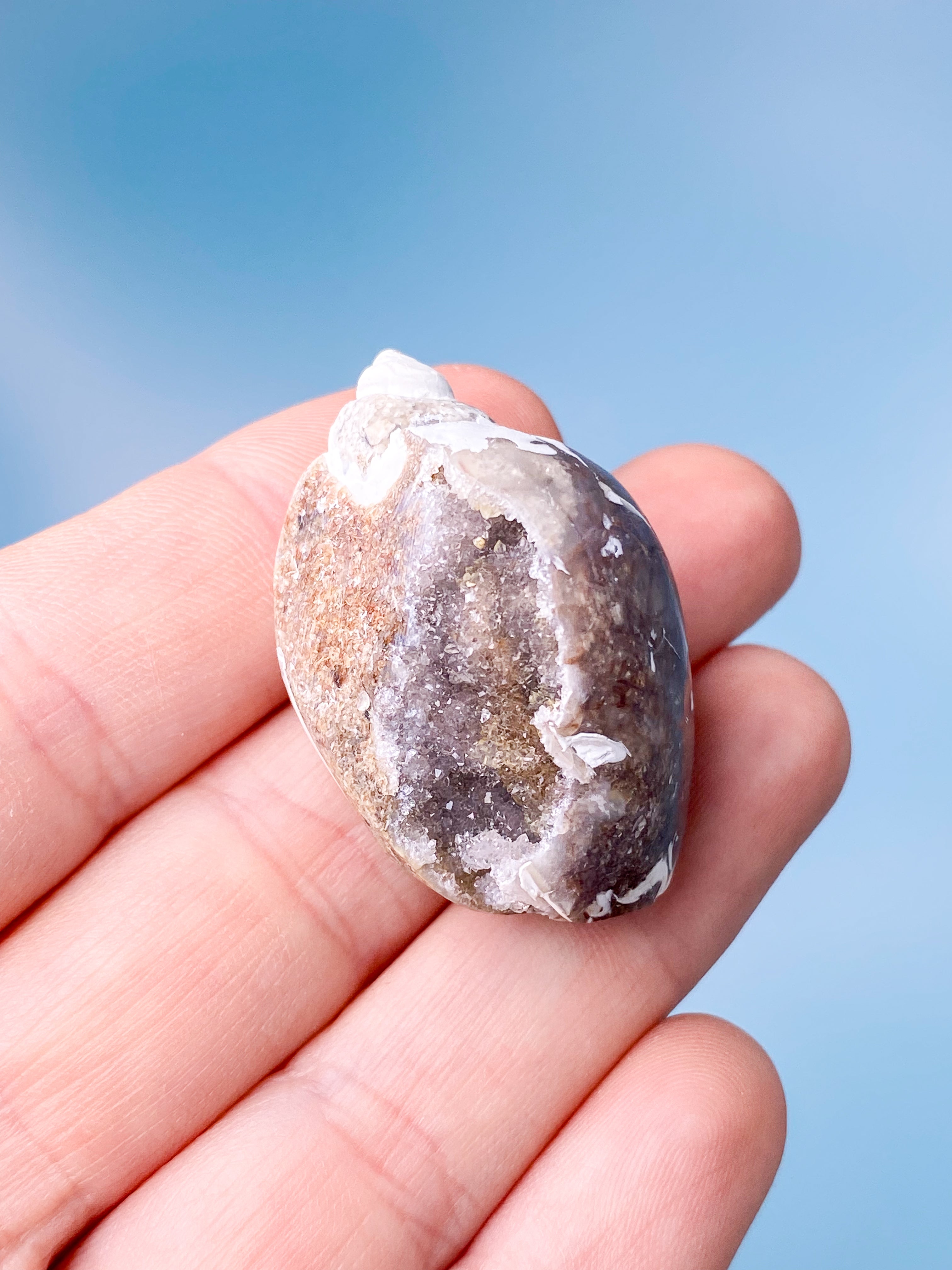 Druzy Konkylie Fossil (Nr. 10)