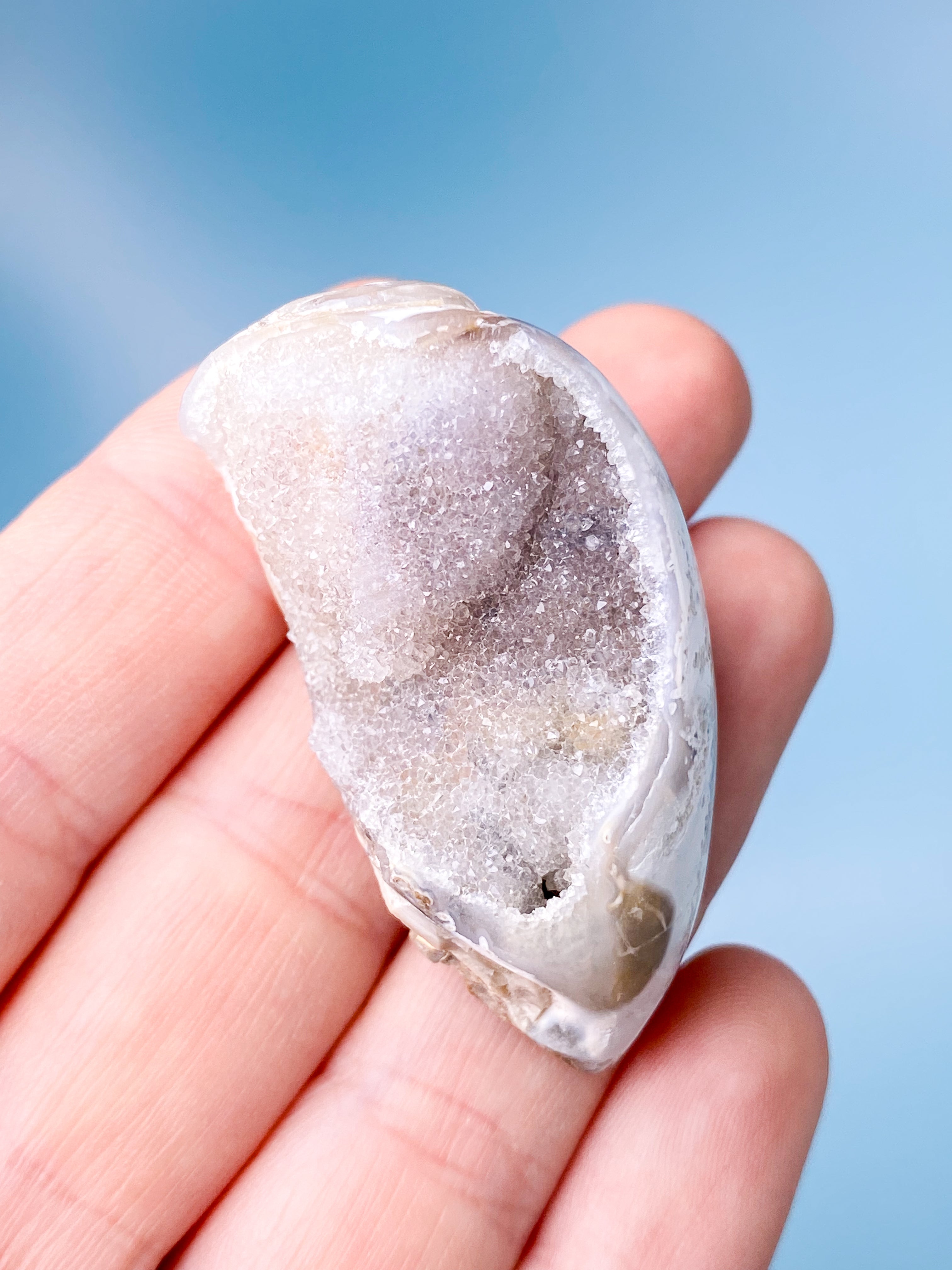 Druzy Konkylie Fossil (Nr. 13)