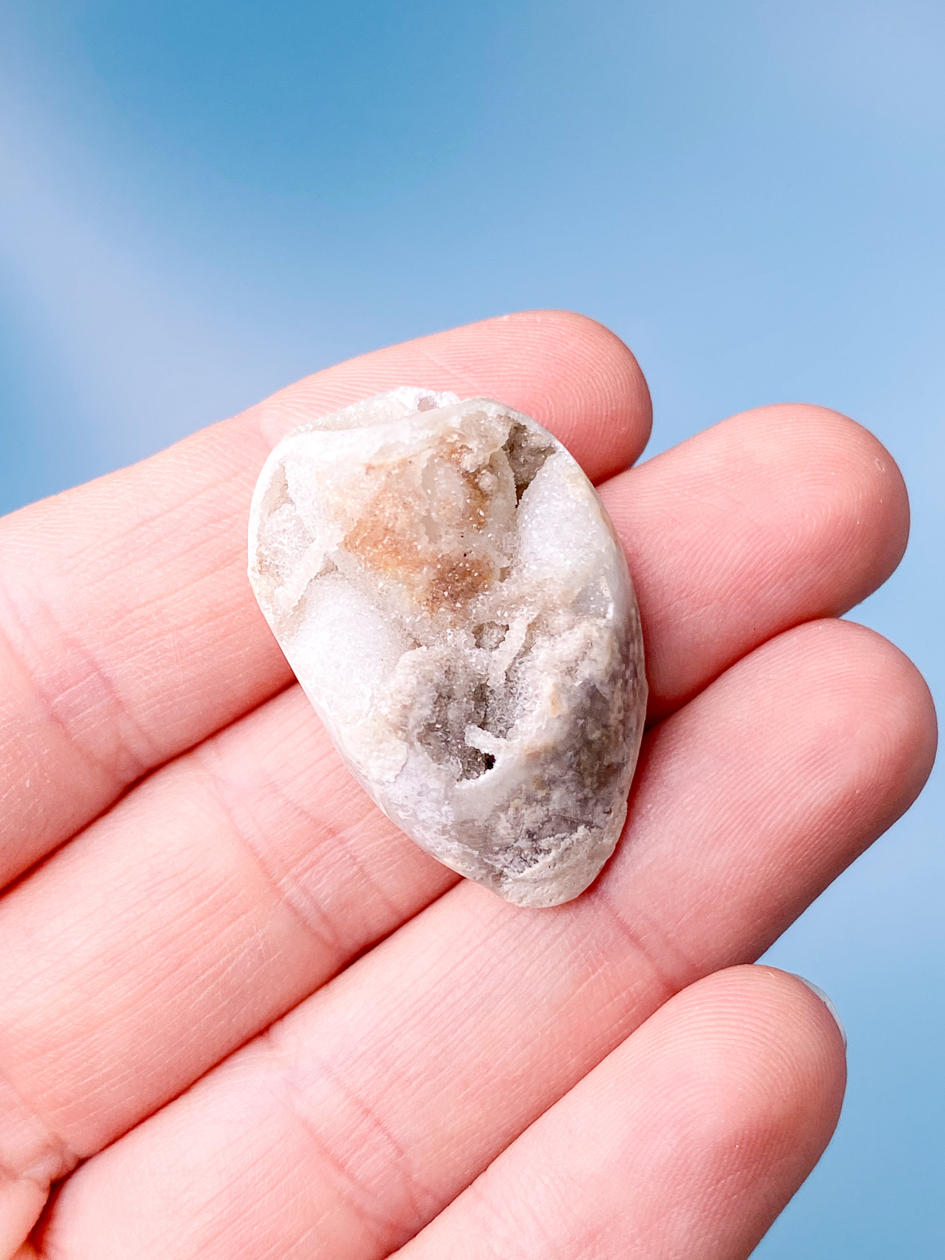 Druzy Konkylie Fossil (Nr. 20)