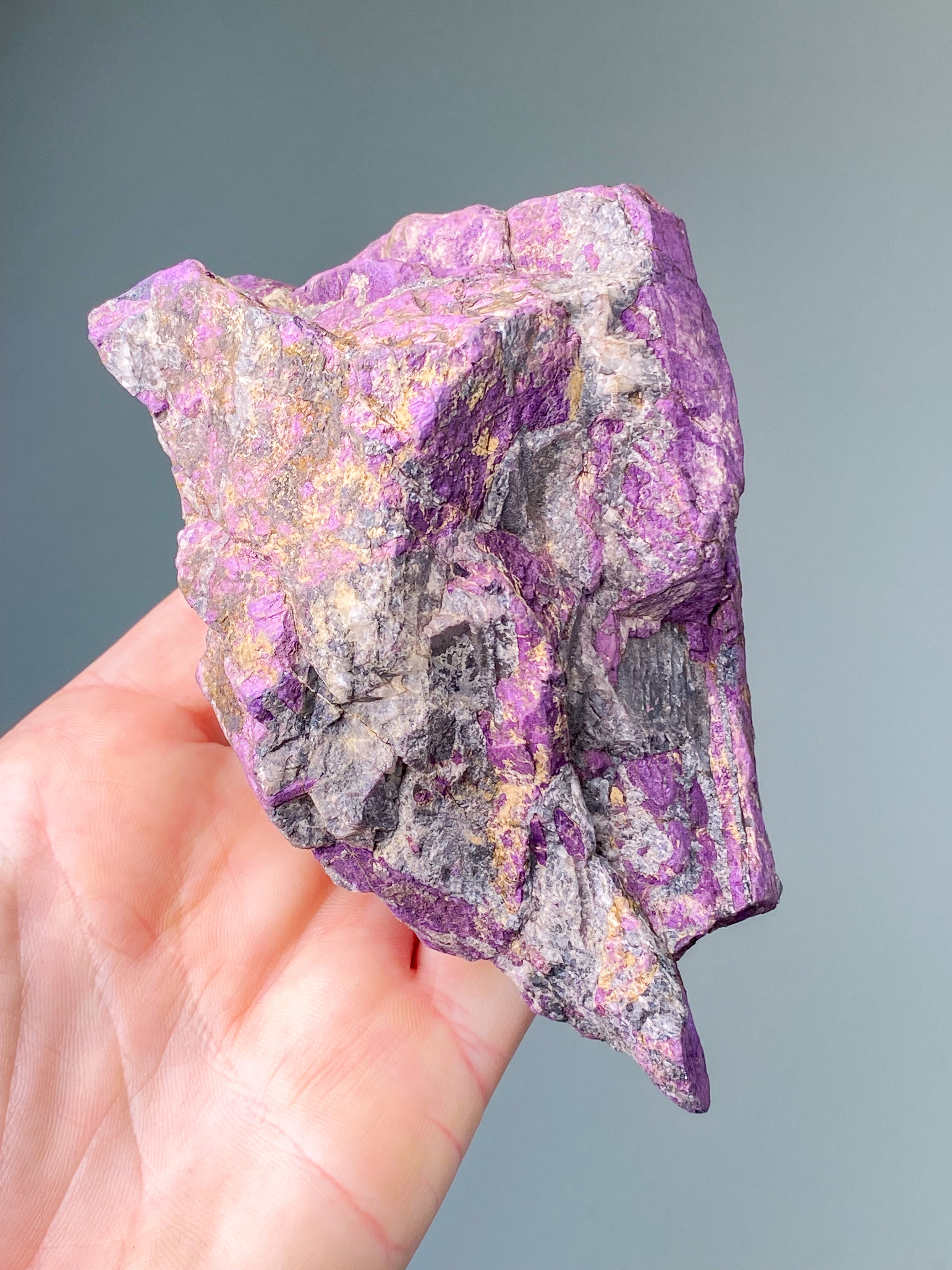 Purpuritpolerad (nr 1)