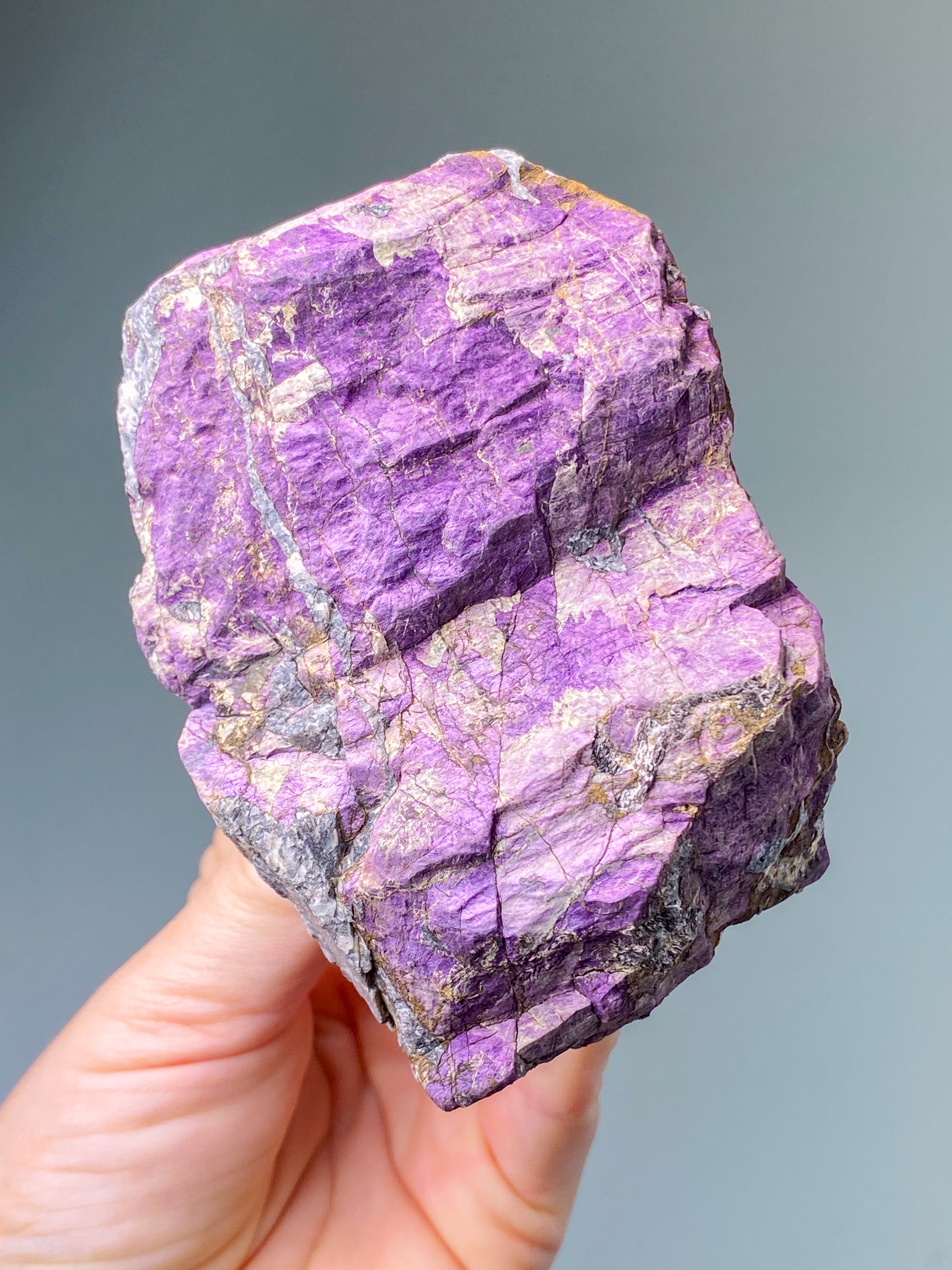 Purpuritpolerad (nr 1)