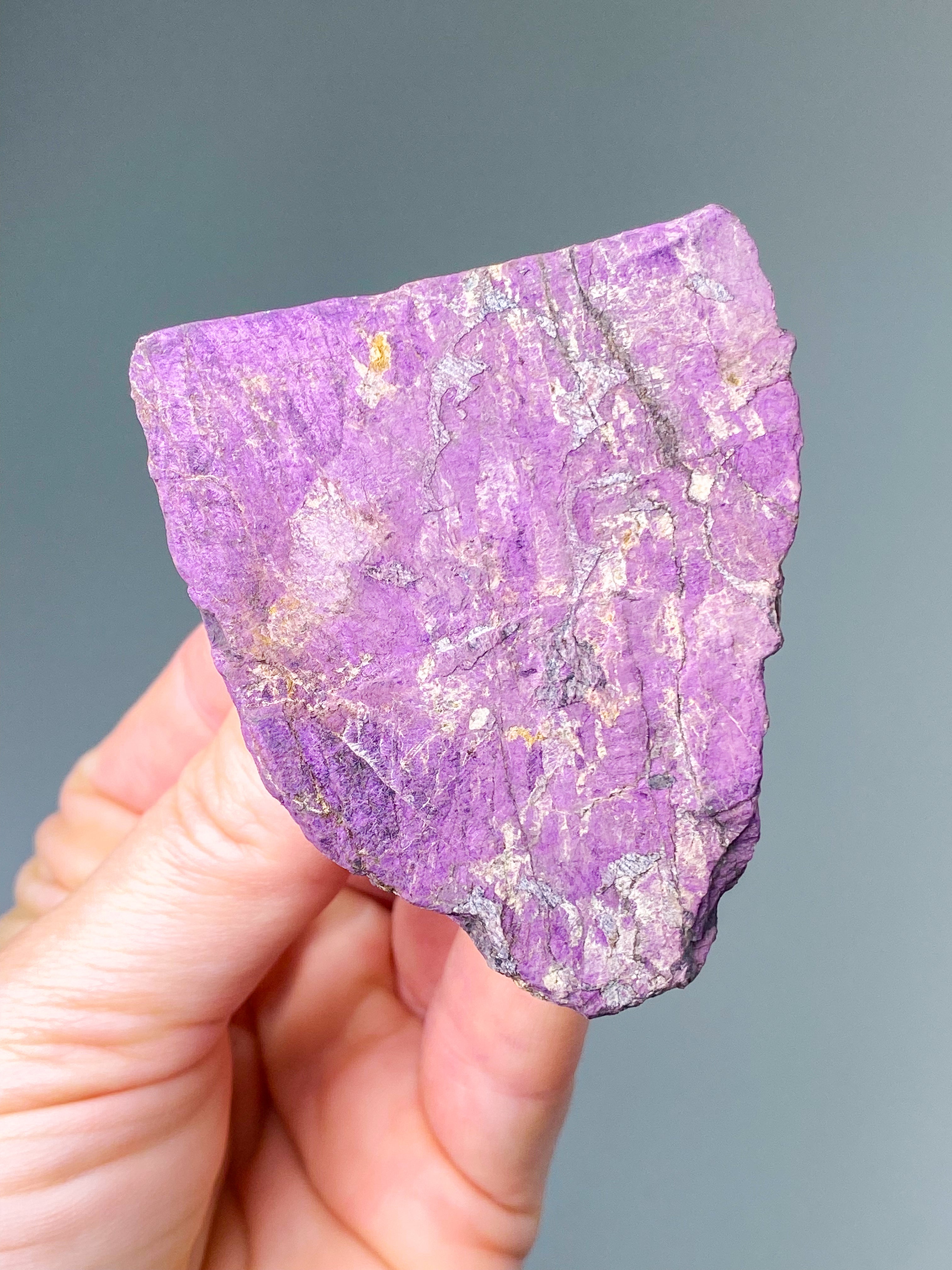 Purpuritpolerad (nr 1)