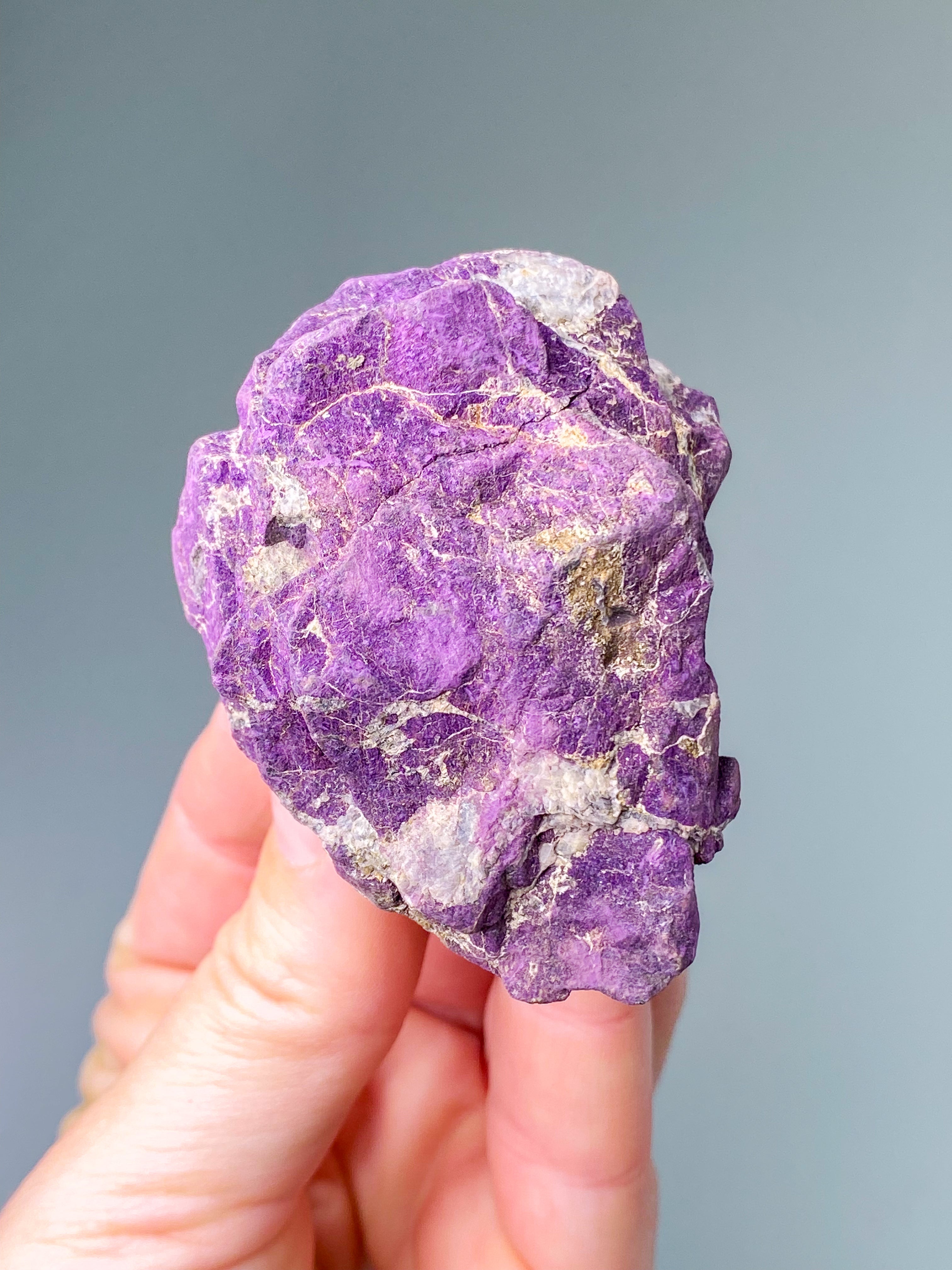 Purpuritpolerad (nr 1)