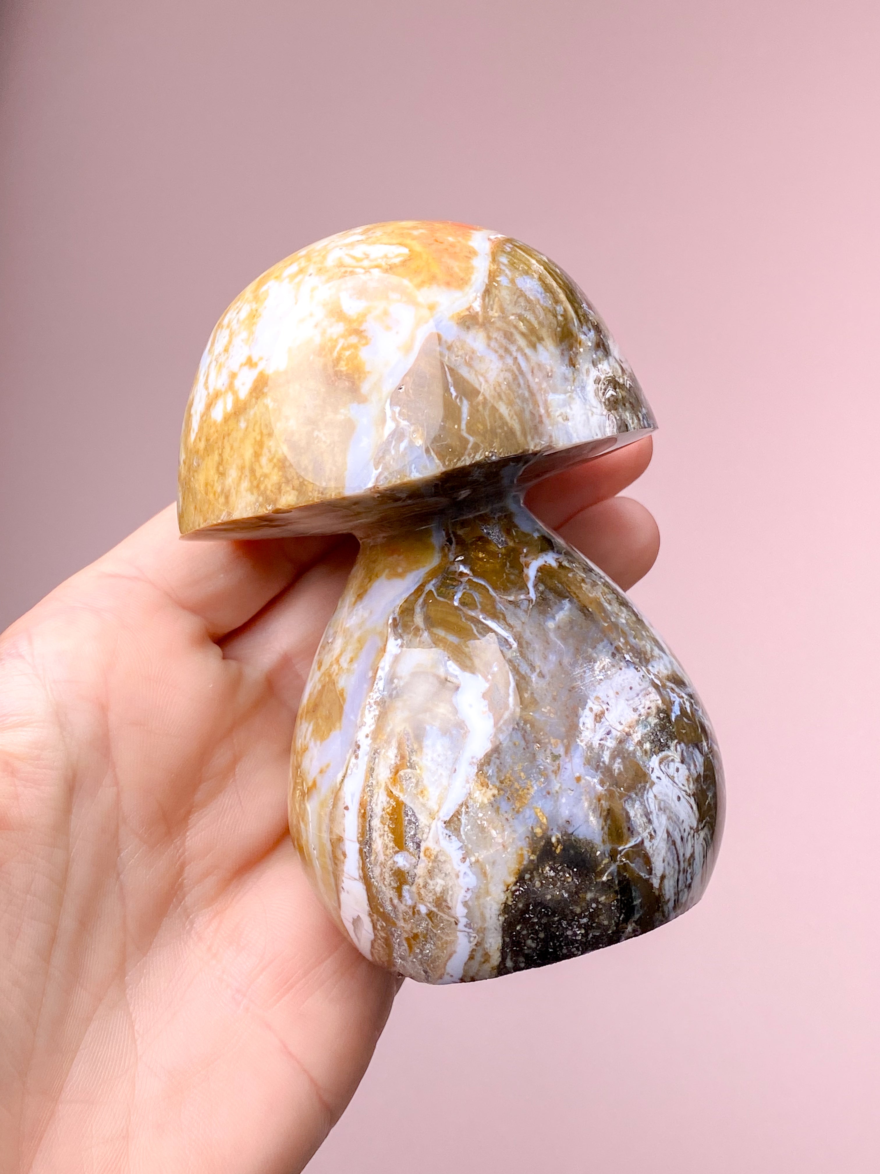 Ocean Jaspis Svamp (Nr. 4)