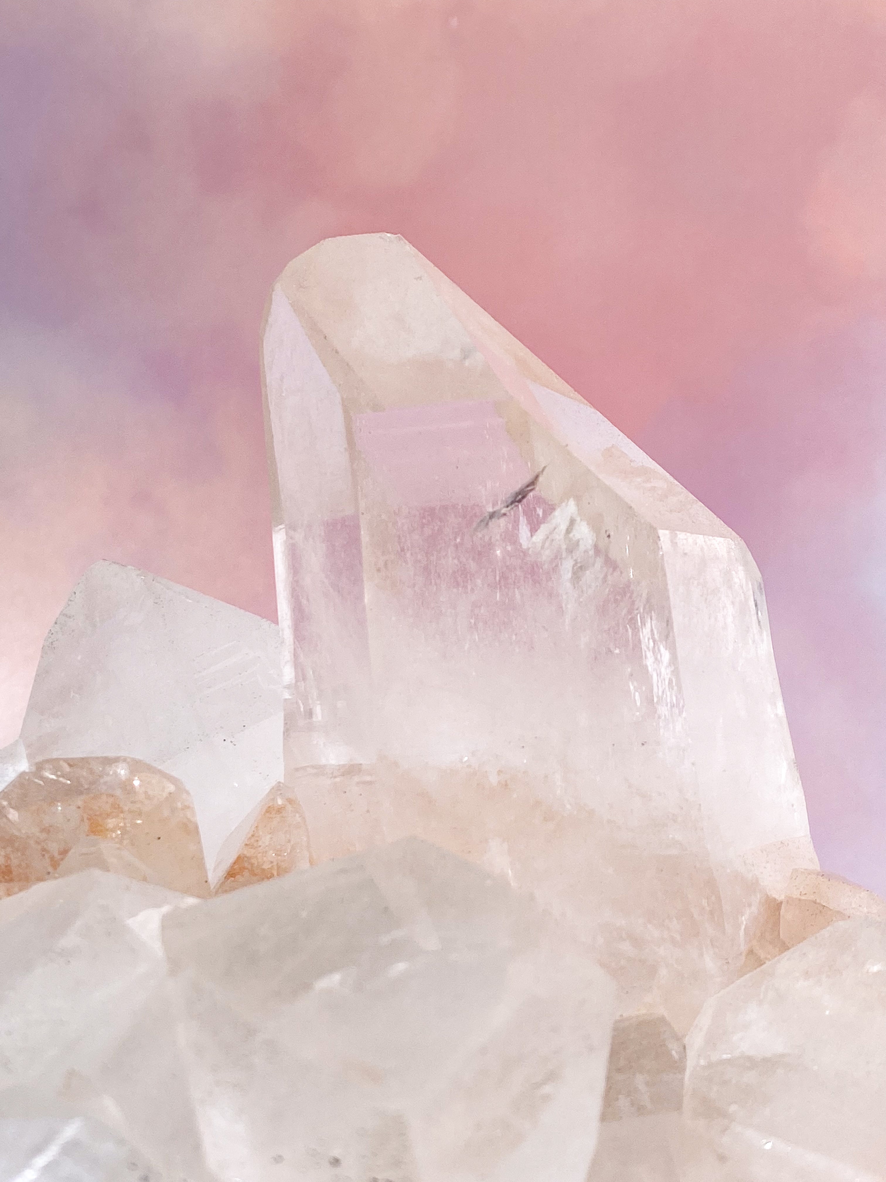 Pink Himalaya Klynge (Nr. 105)