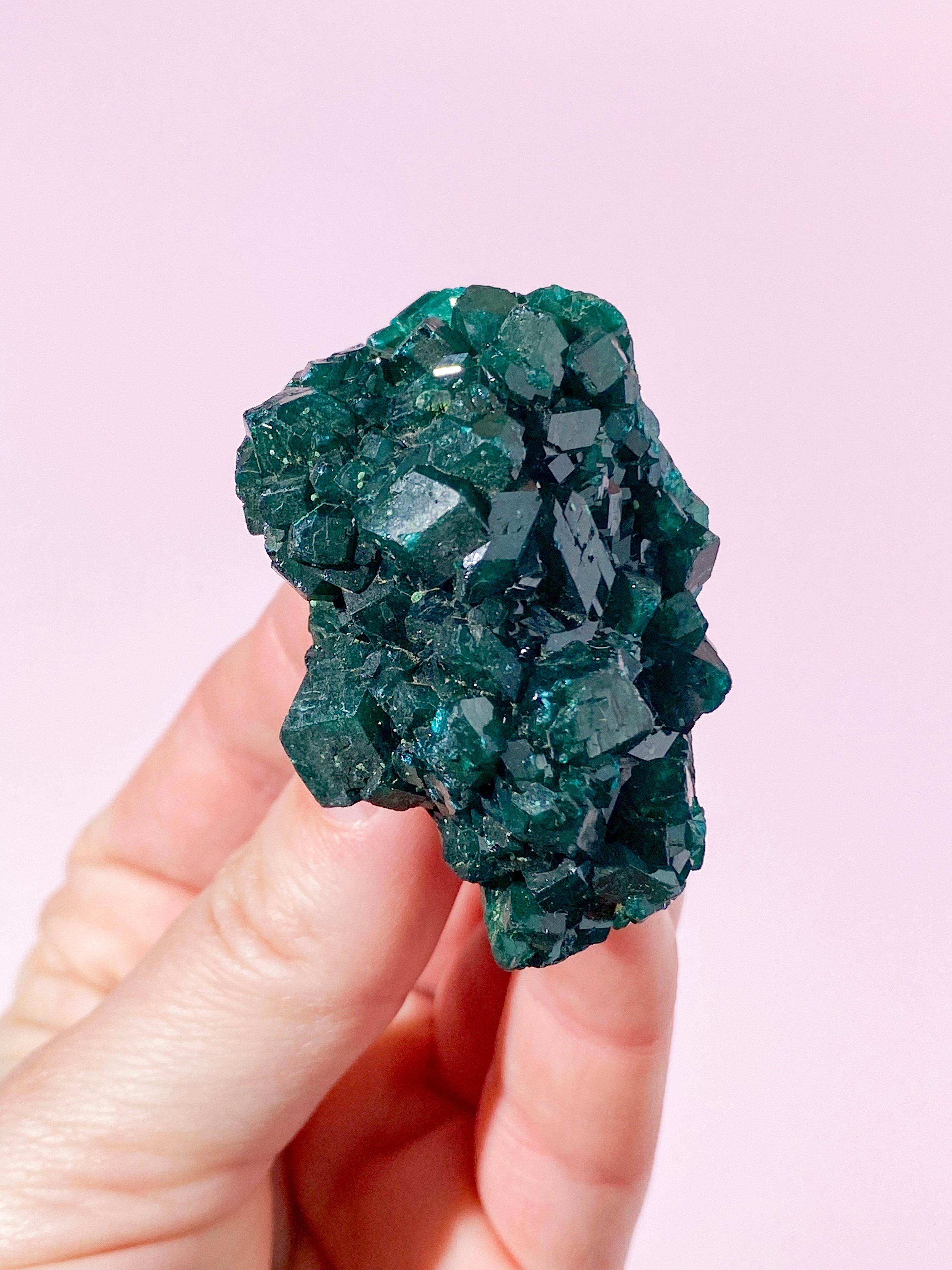 Dioptase Klynge (Nr. 10) Eksklusiv Kvalitet