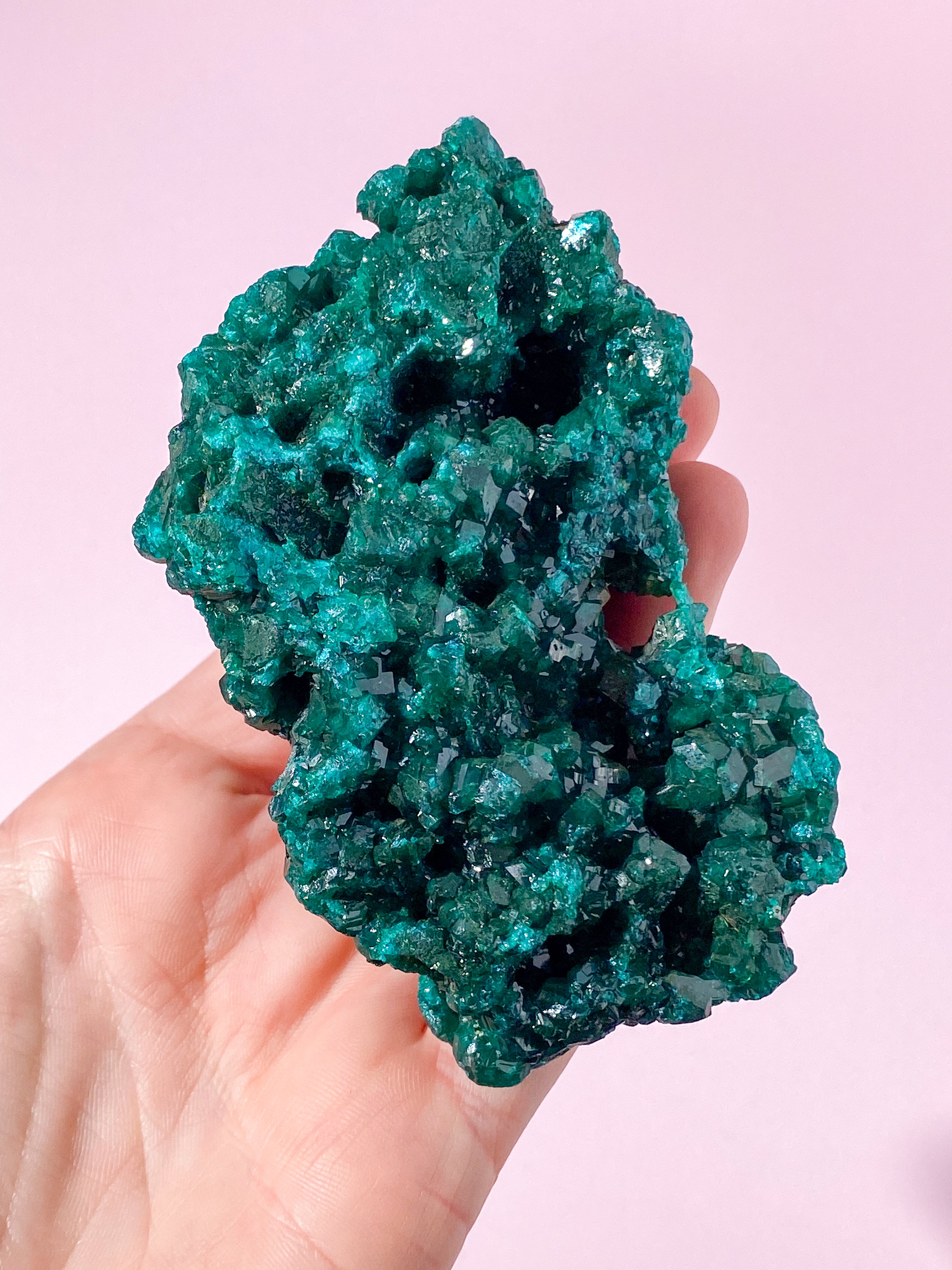 Kæmpe Dioptase Klynge (Nr. 24) Eksklusiv Kvalitet