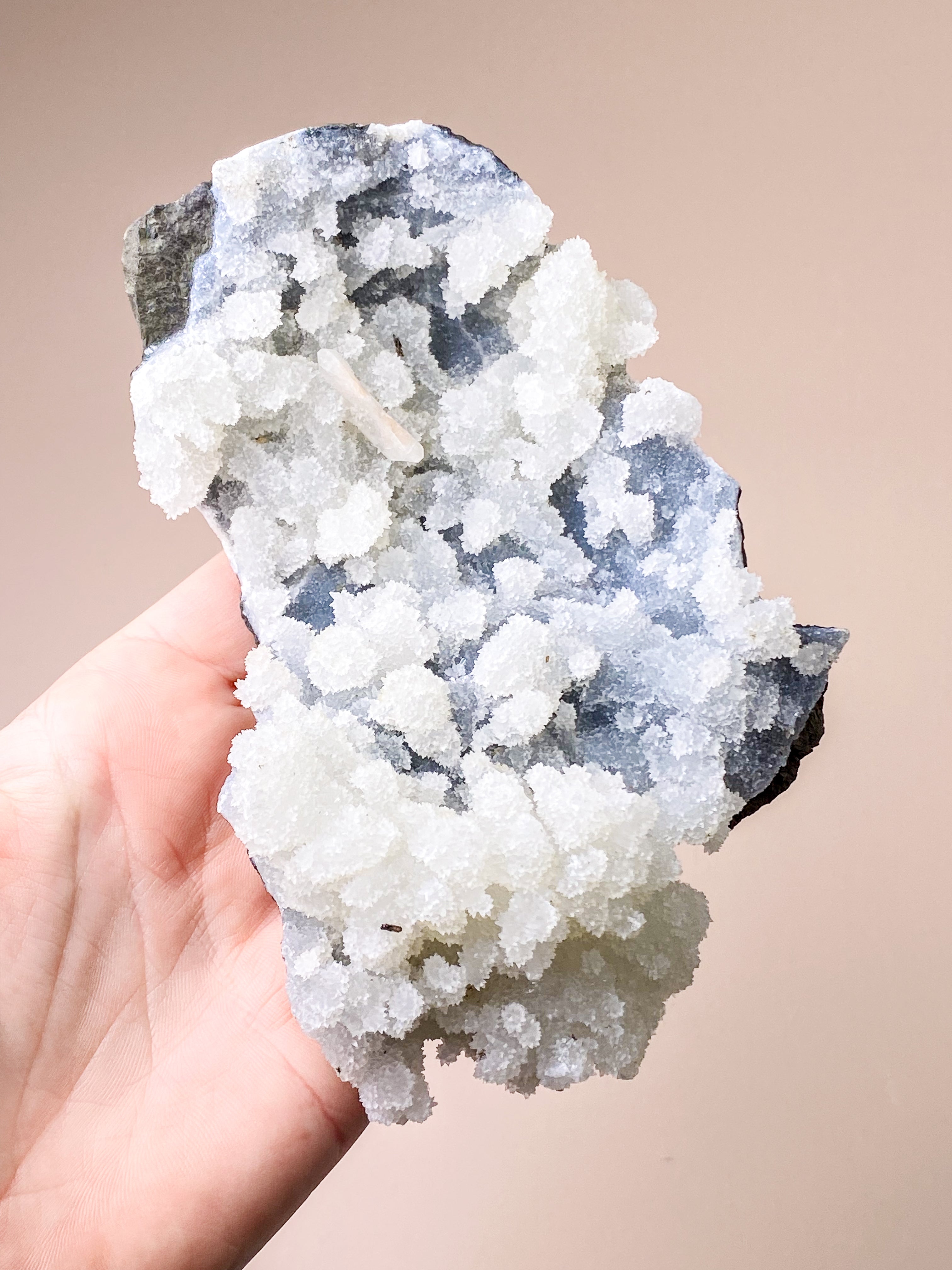 Apophyllit Klynge (Nr. 39)