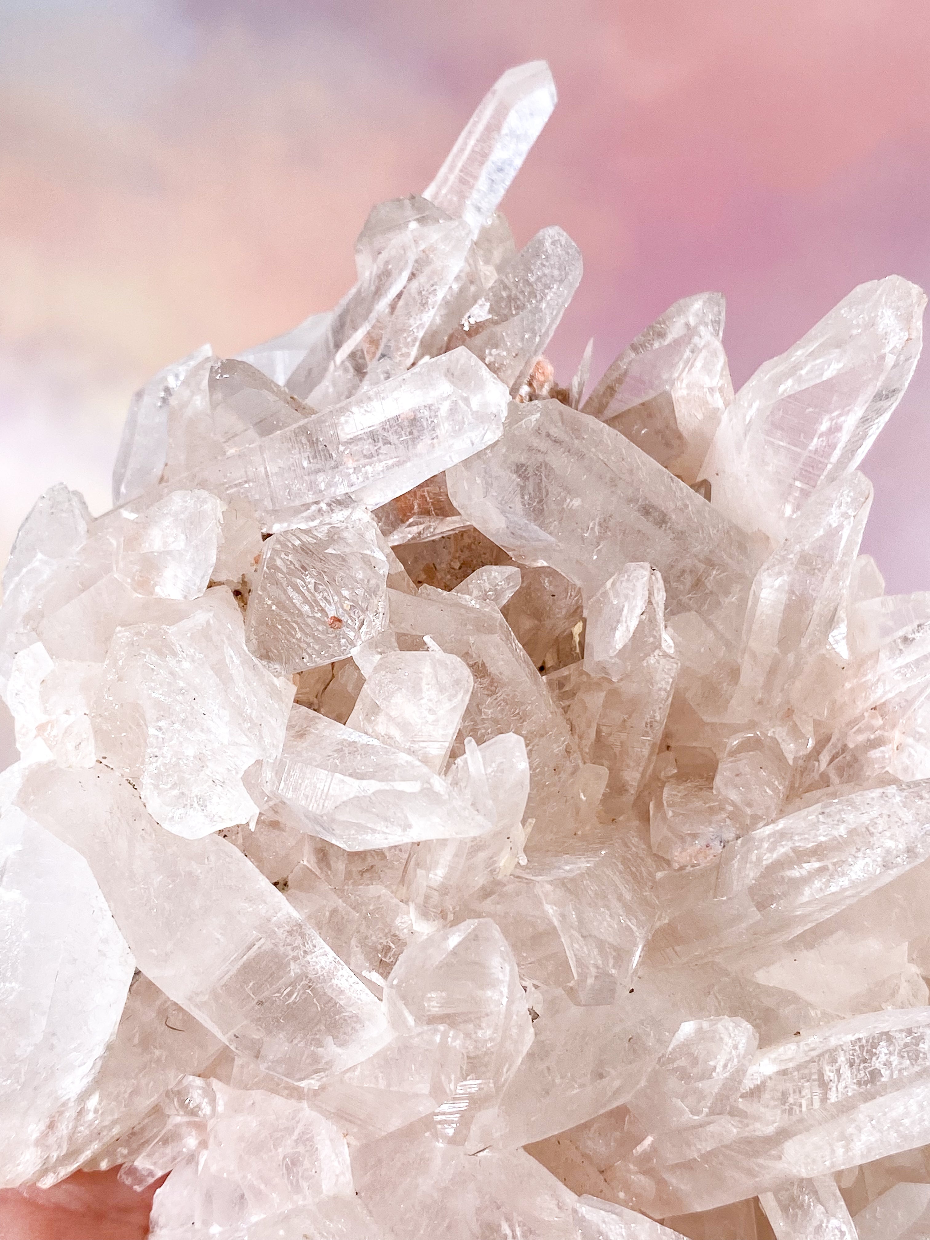 Pink Himalaya Klynge (Nr. 156)