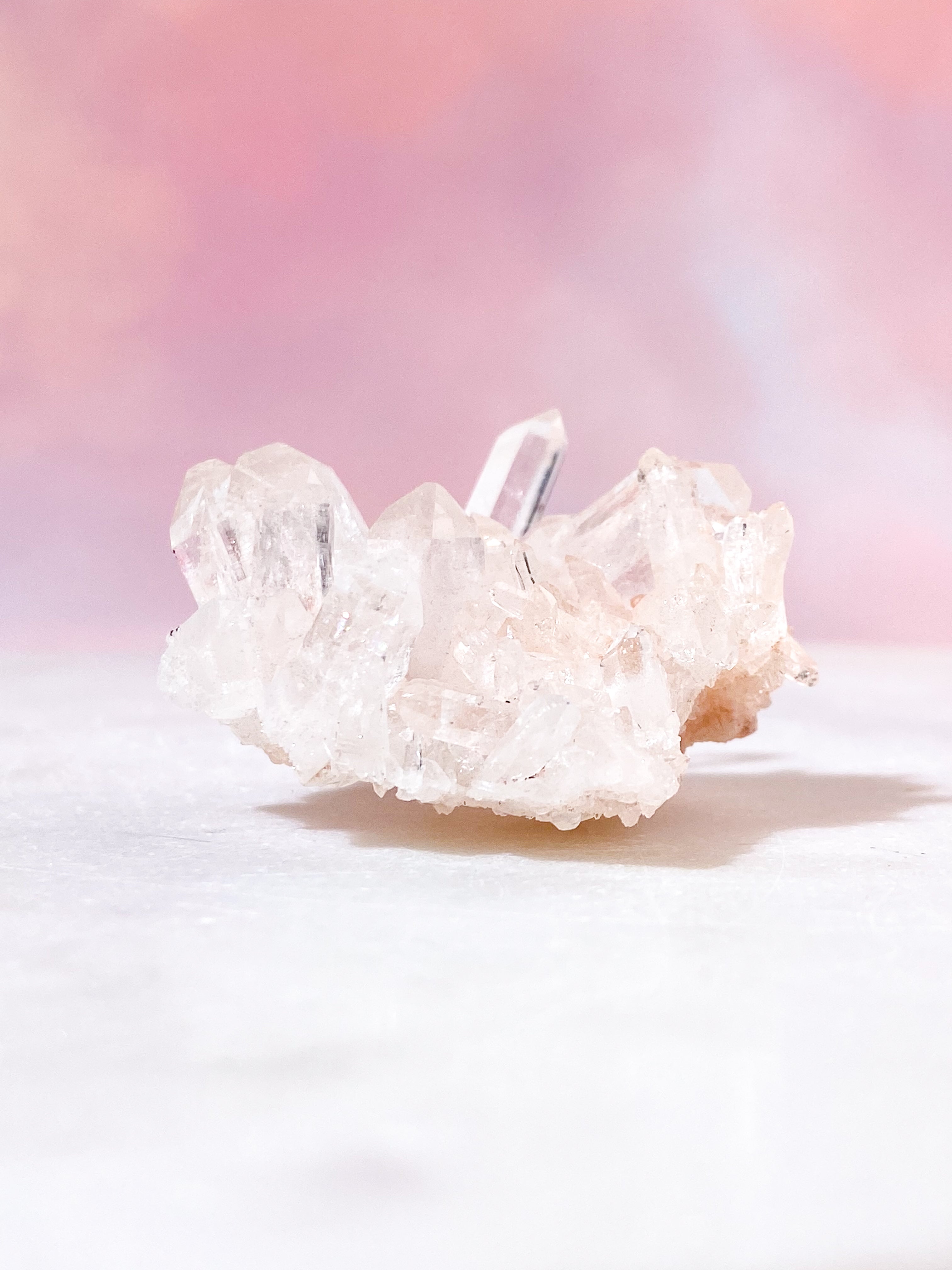 Pink Himalaya Klynge (Nr. 162)