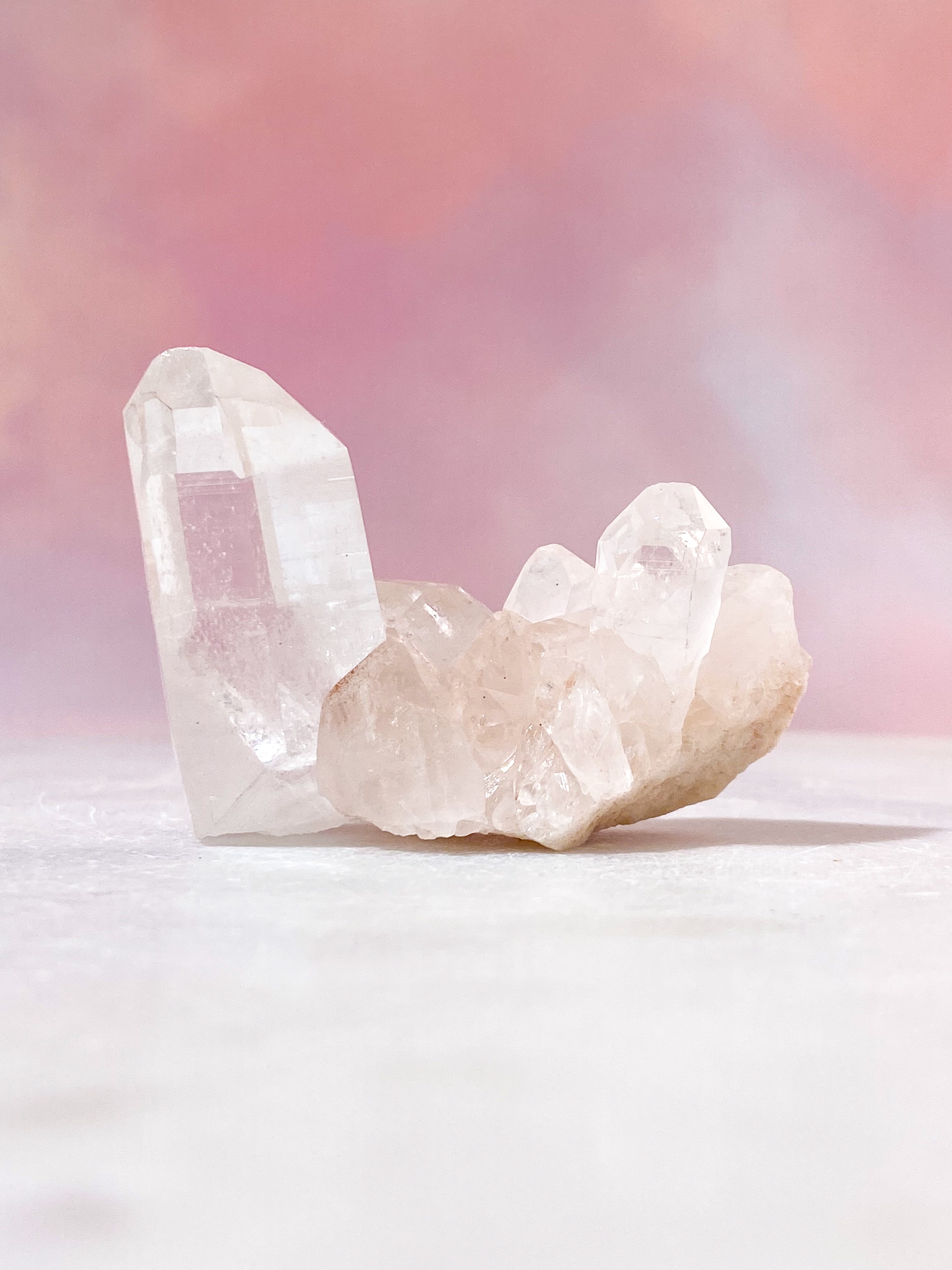 Pink Himalaya Klynge (Nr. 163)