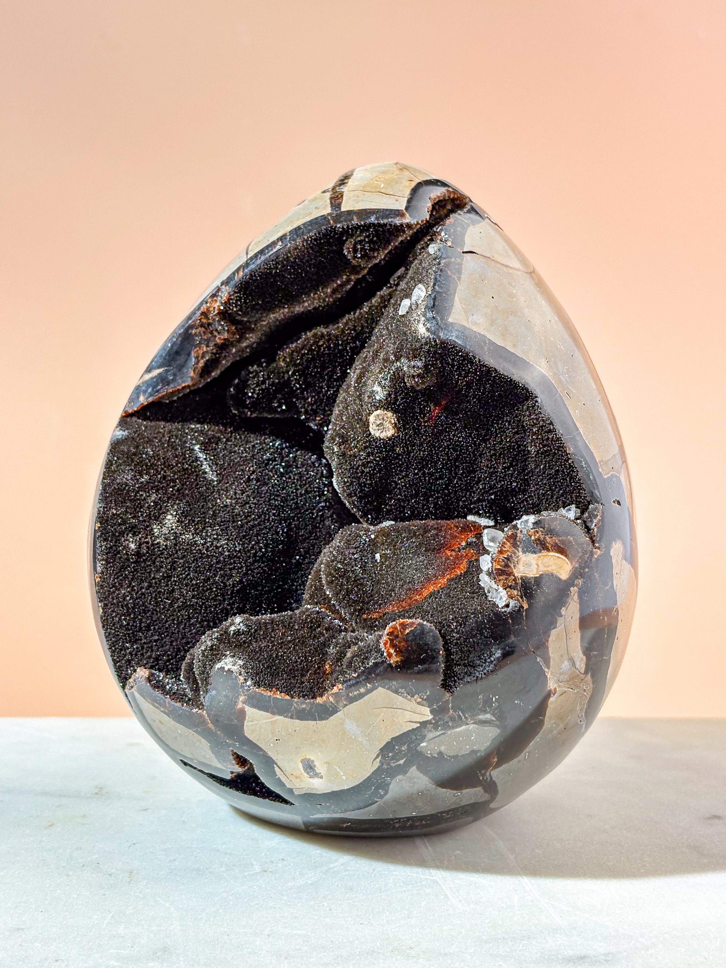Septarie Æg (Nr. 7)