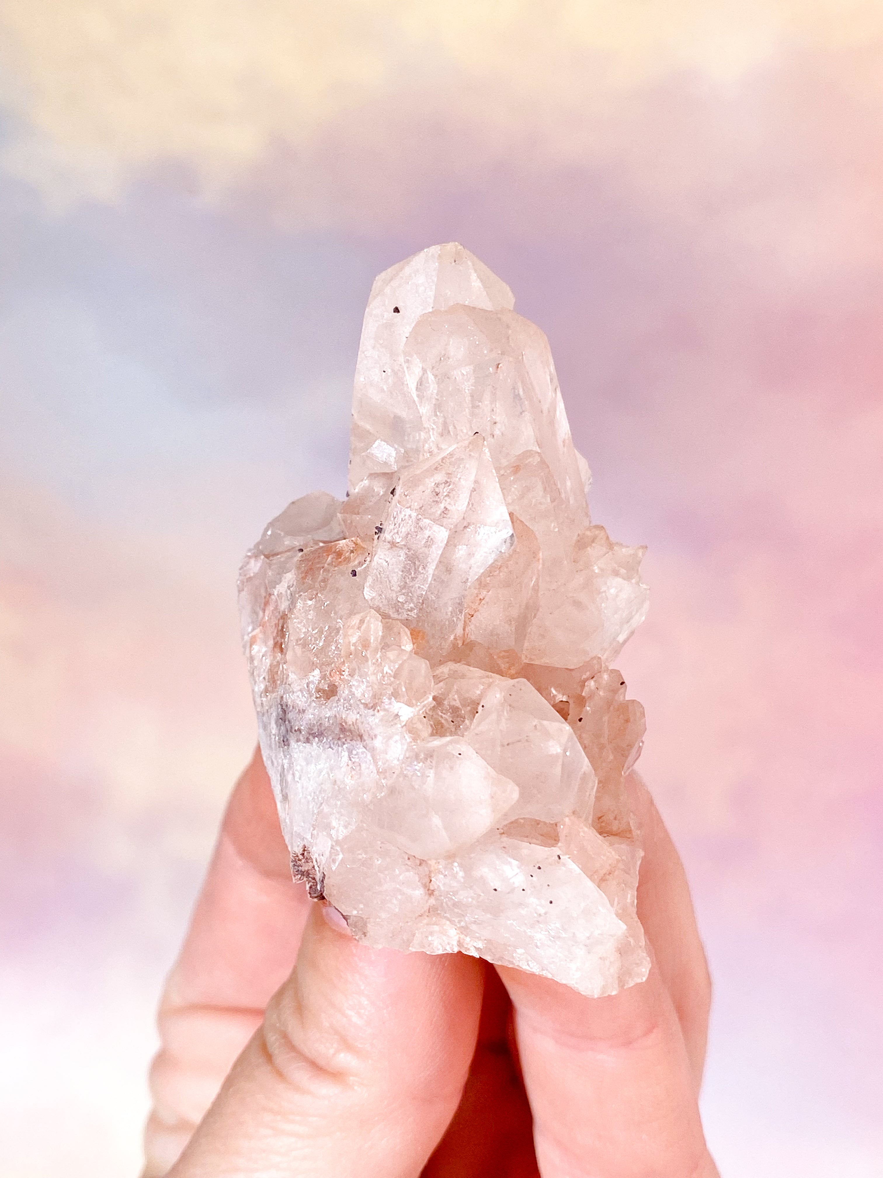 Pink Himalaya Klynge (Nr. 169)
