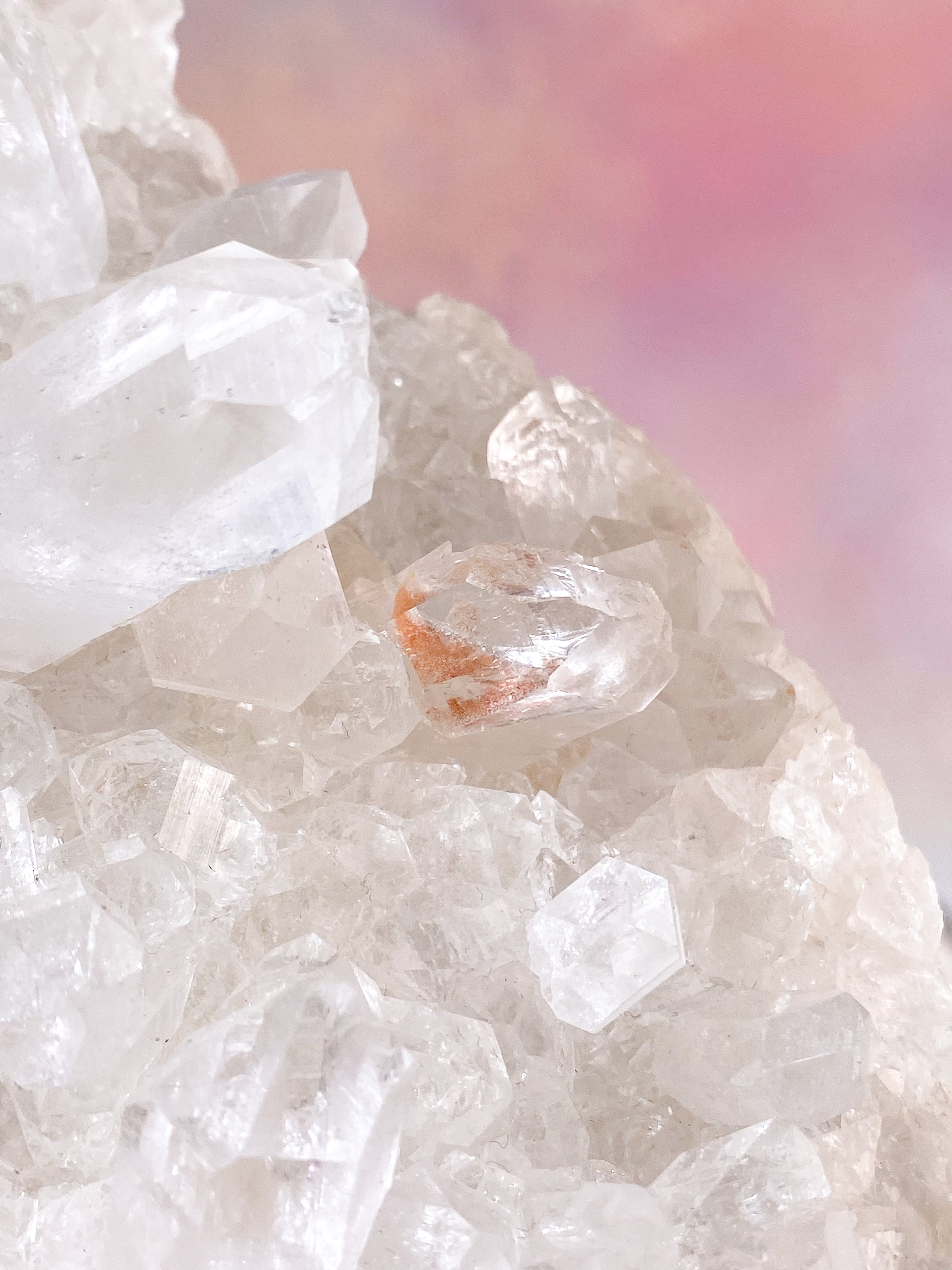 Pink Himalaya Klynge (Nr. 185)