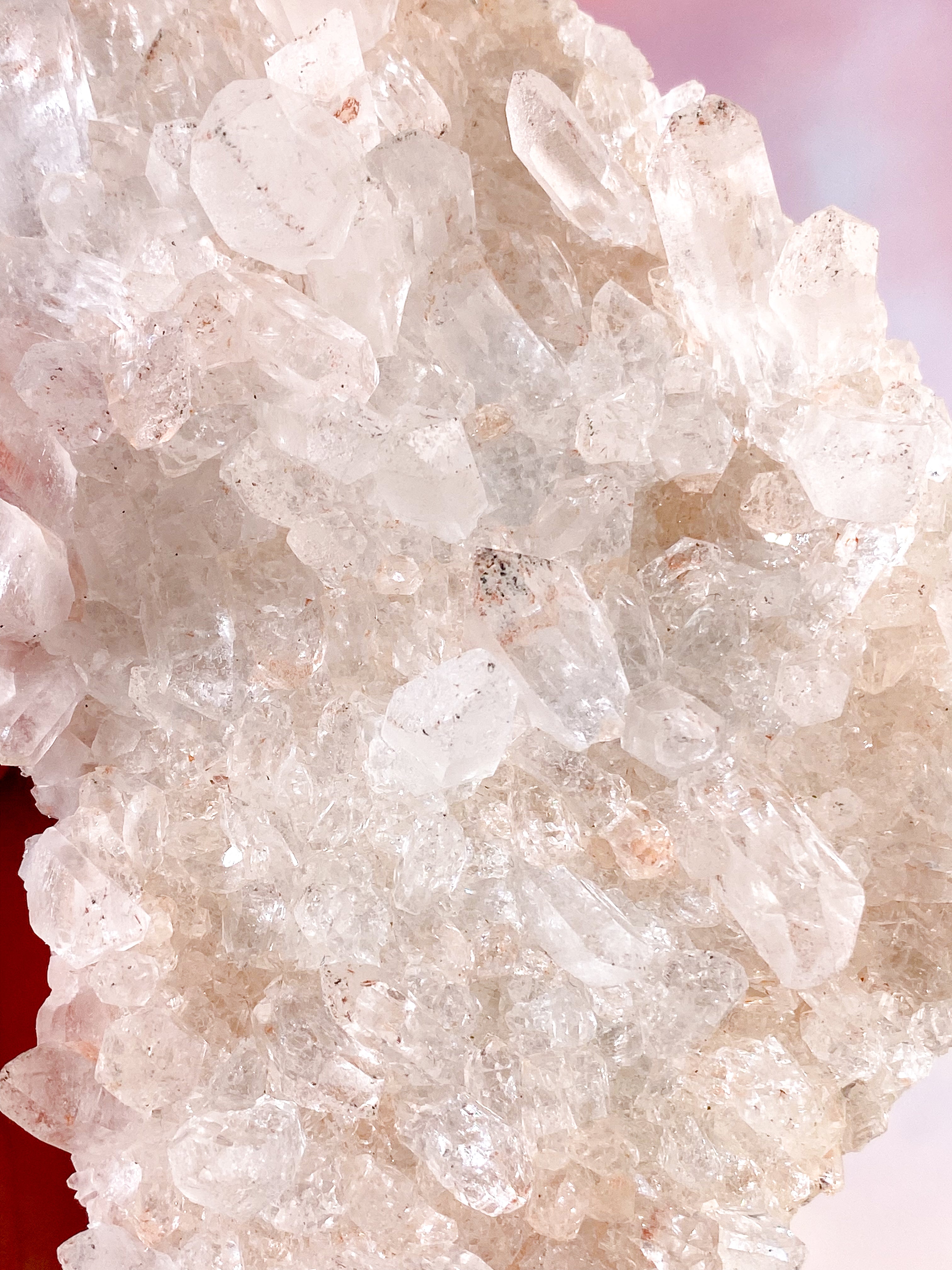 Pink Himalaya Klynge (Nr. 199)