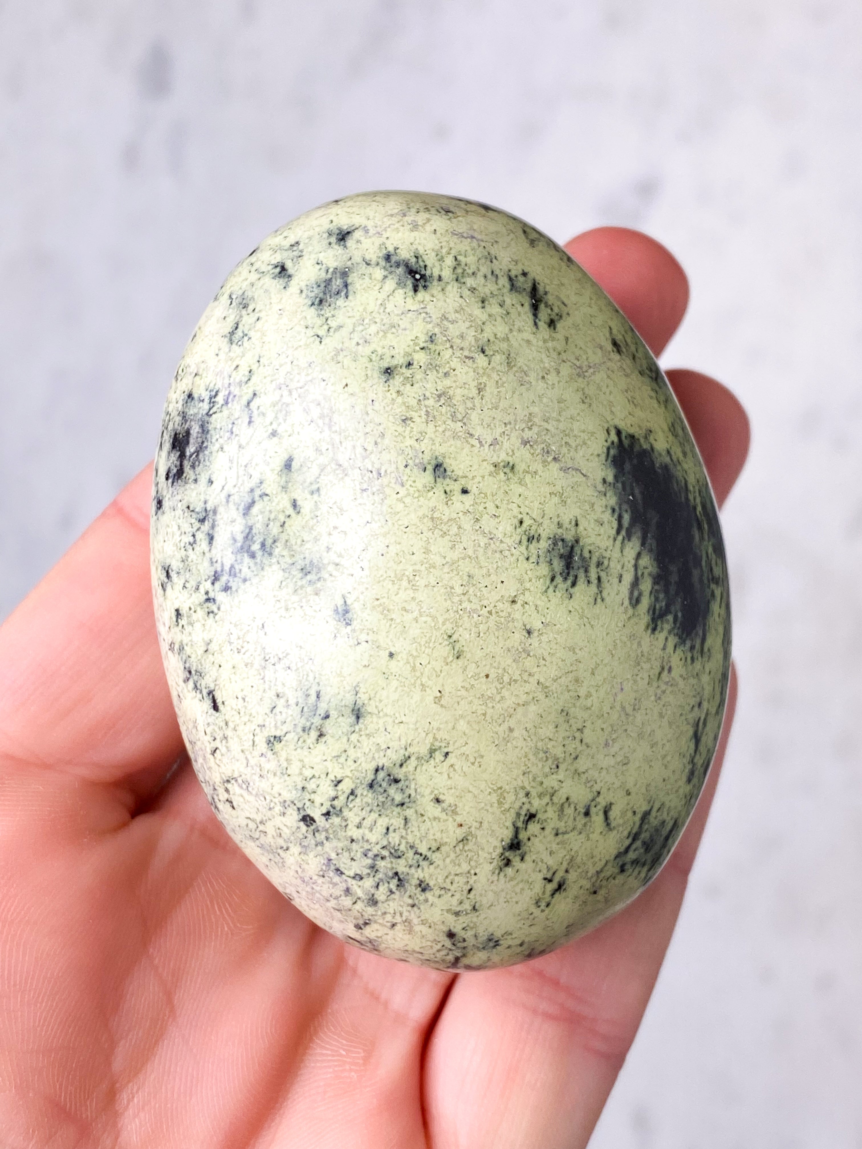 Leopard Serpentin Palmstone (Nr. 5)