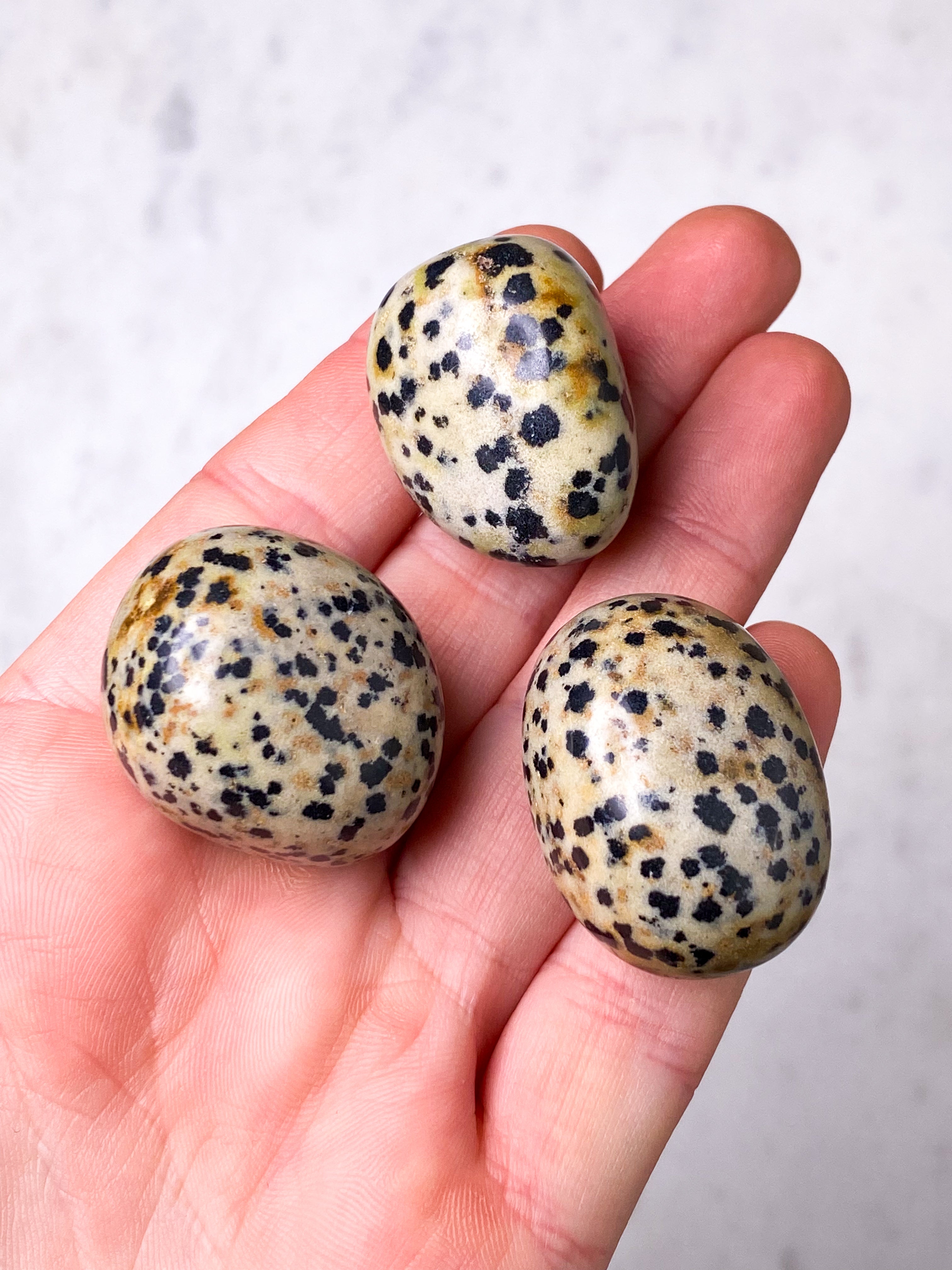 Dalmatian Jasper Pocket Stone
