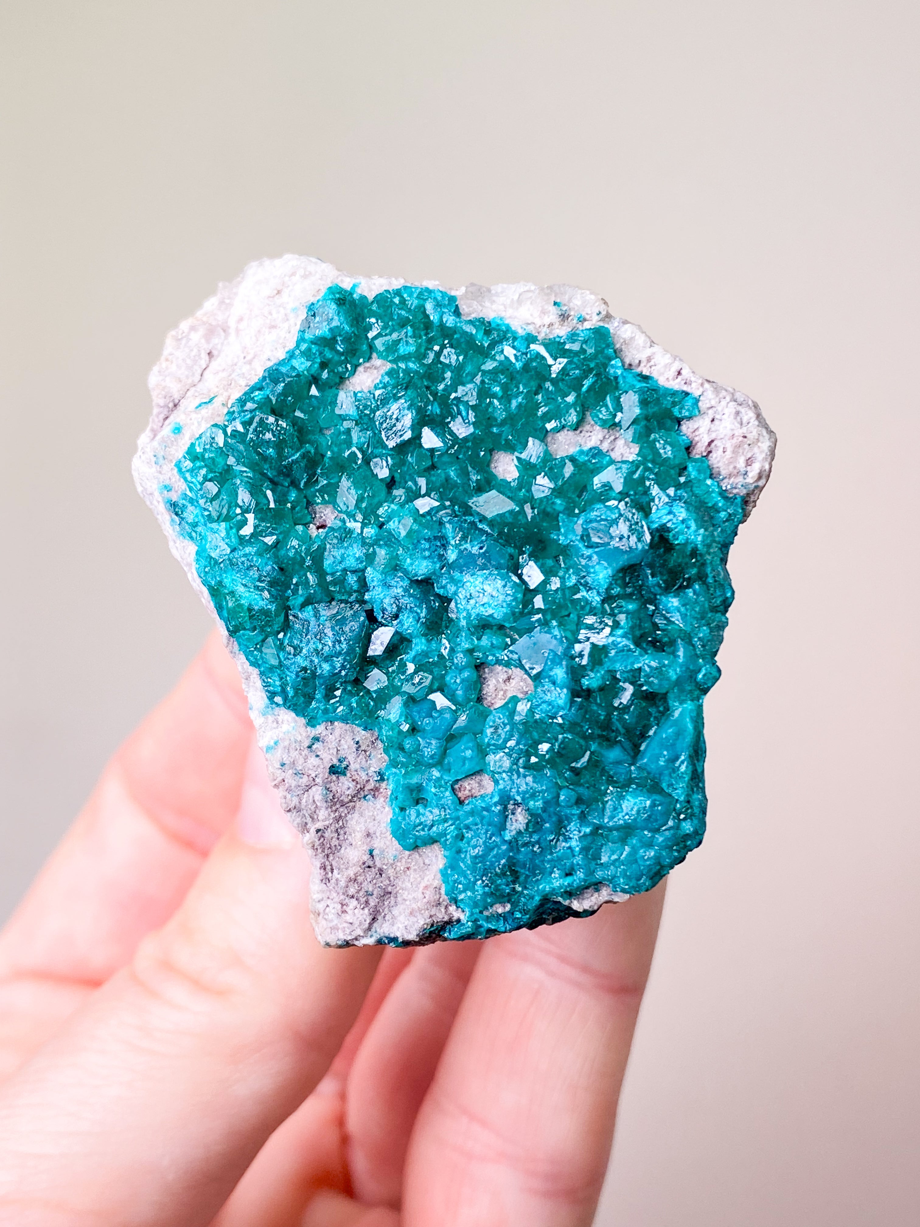 Dioptase Cluster (No. 31)