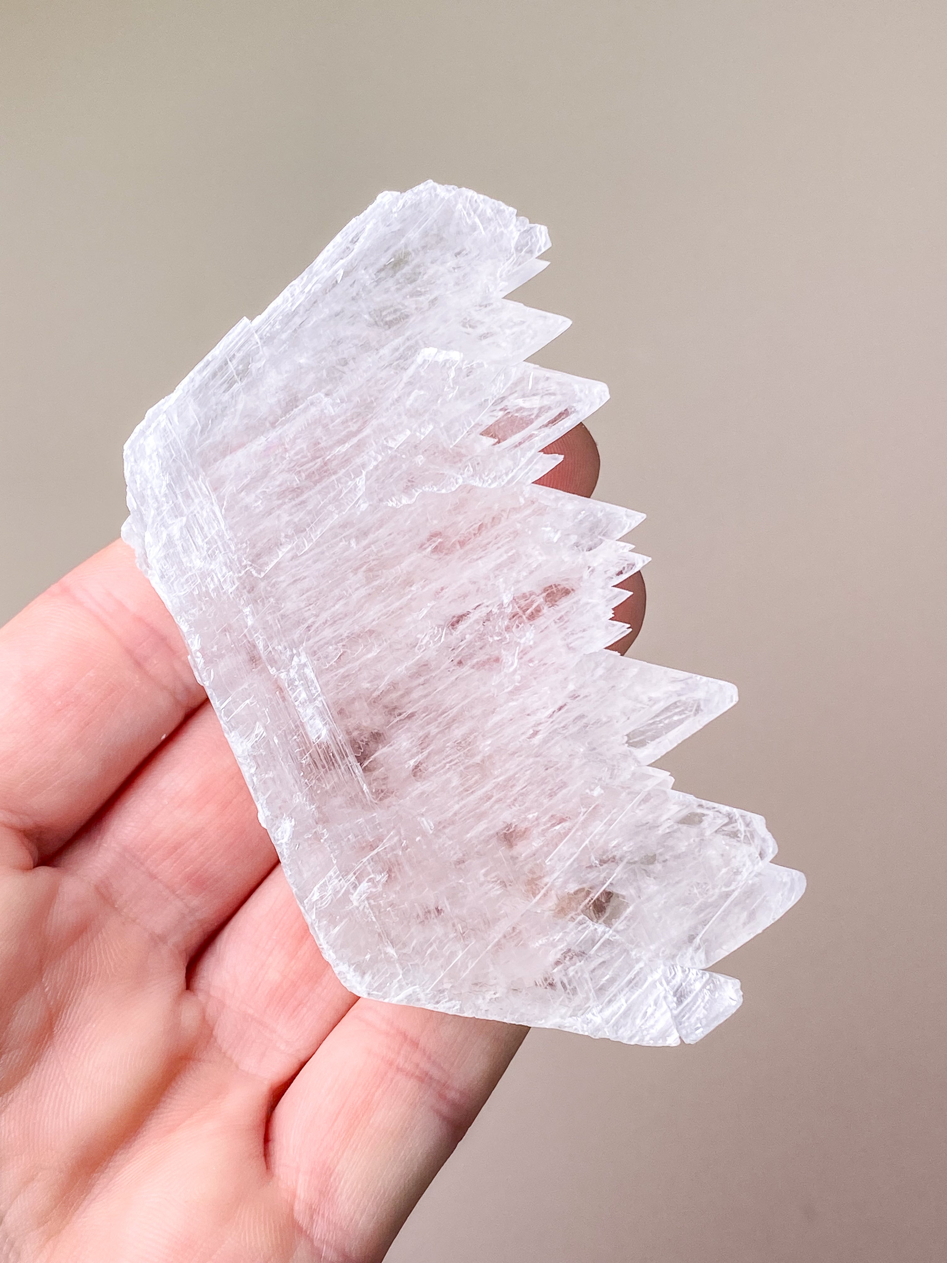Fishtail/Angels Wing Selenite (No. 9) Exclusive Quality