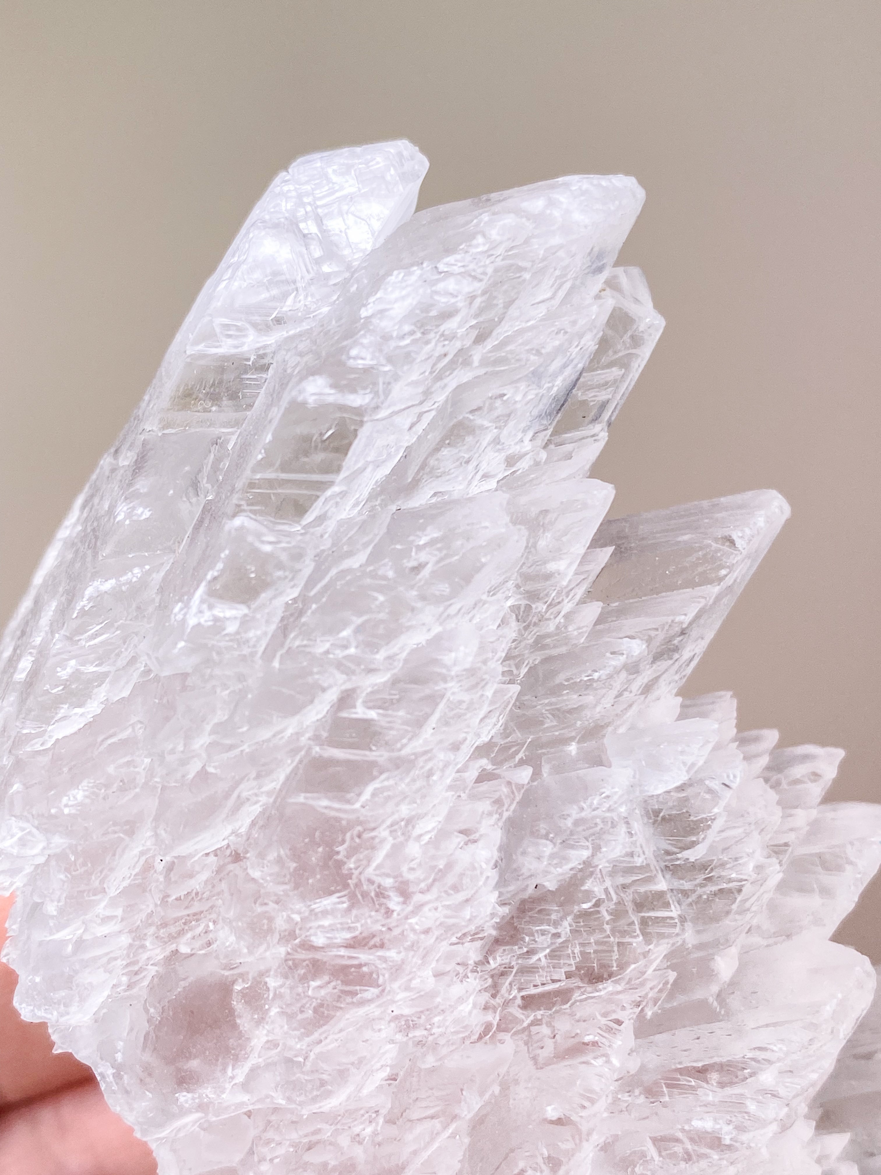 Fishtail/Angels Wing Selenite (No. 9) Exclusive Quality