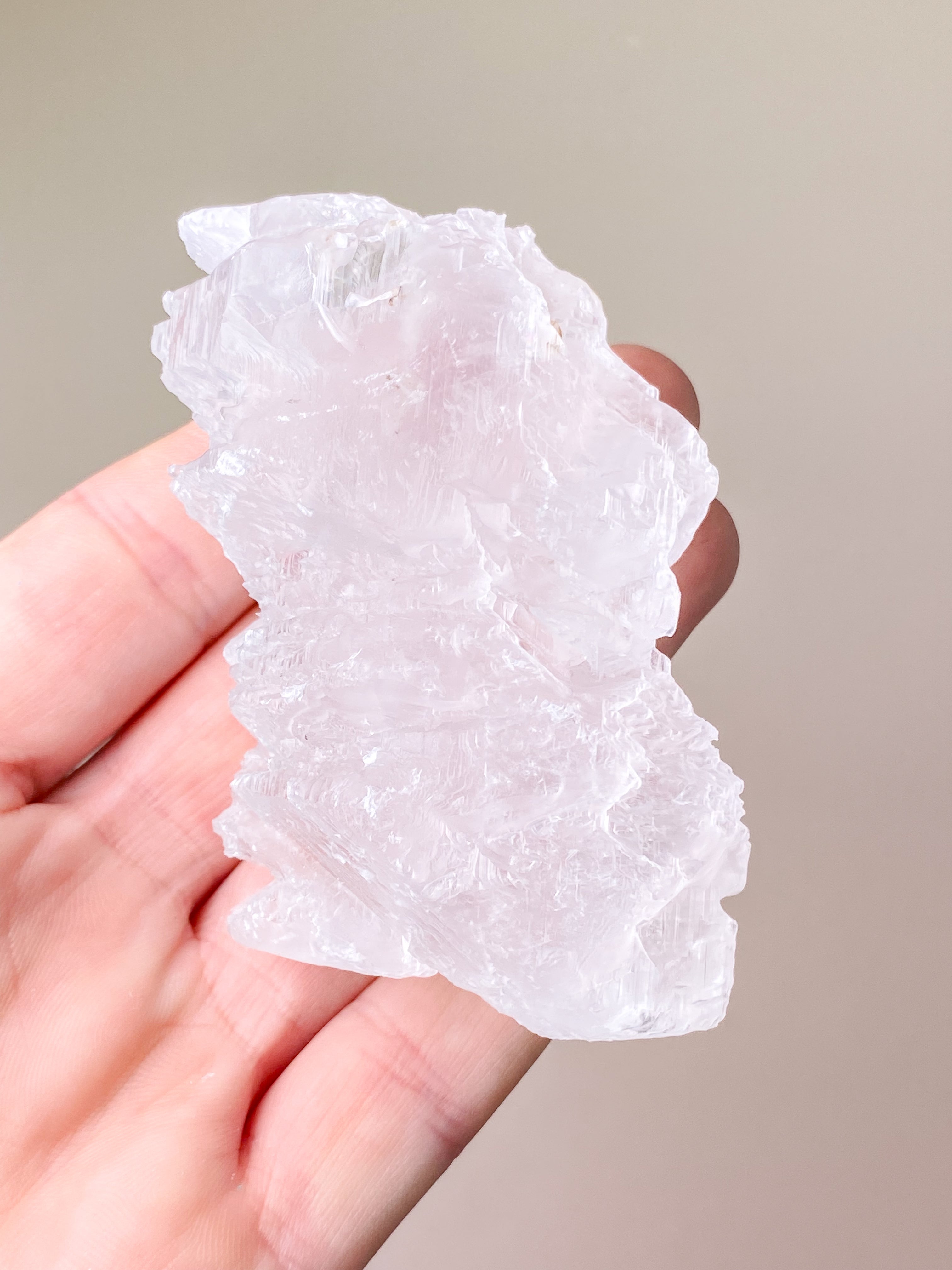 Fishtail/Angels Wing Selenite (No. 9) Exclusive Quality