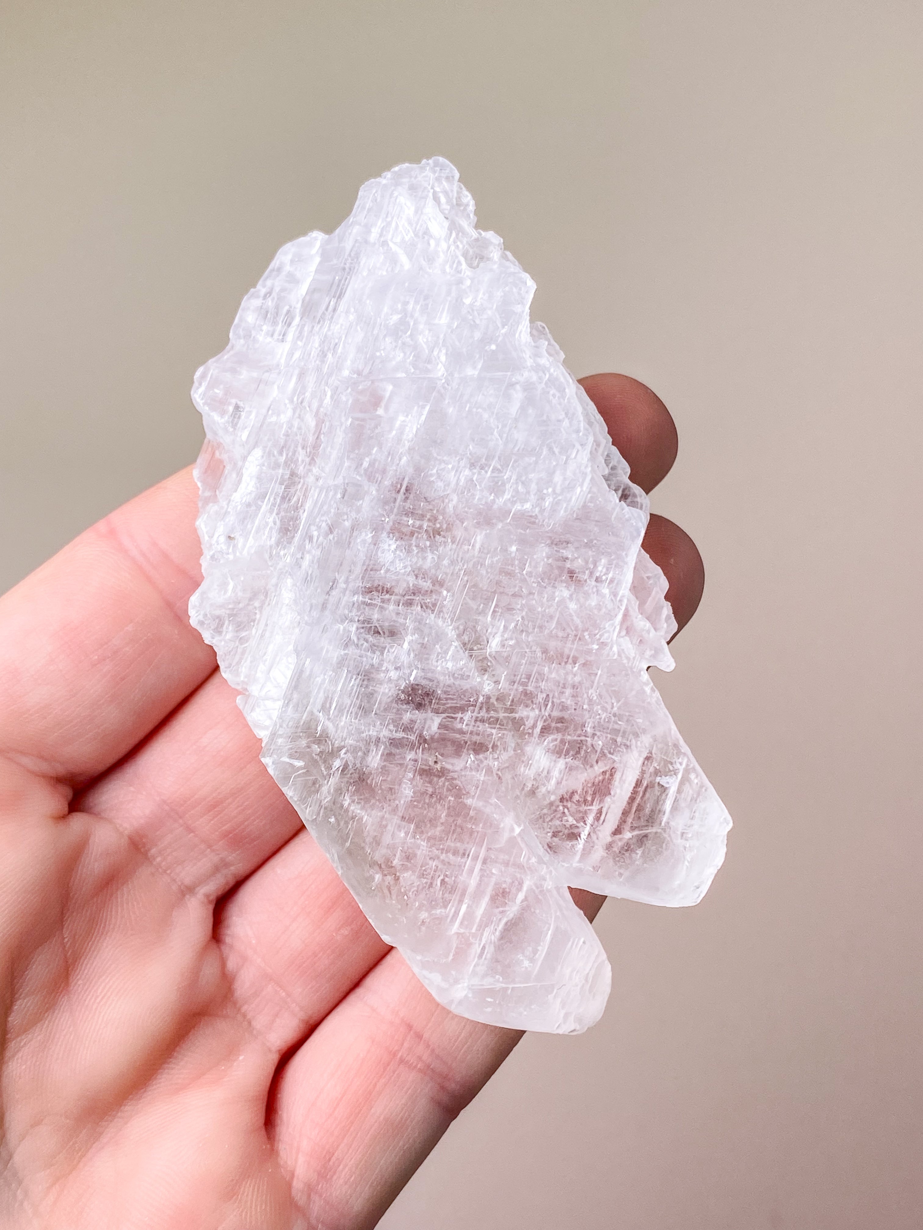 Fishtail/Angels Wing Selenite (No. 9) Exclusive Quality