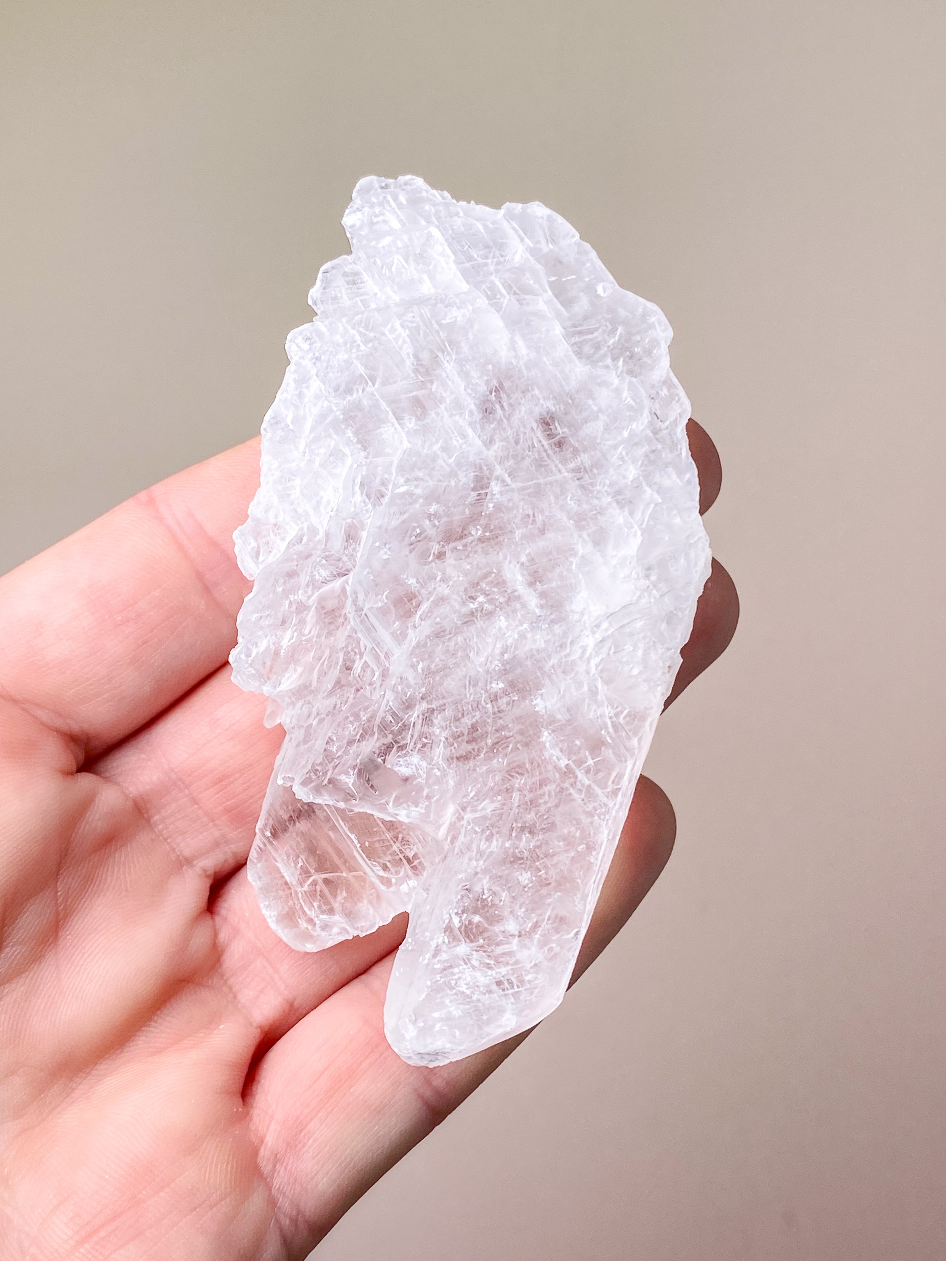 Fishtail/Angels Wing Selenite (No. 9) Exclusive Quality