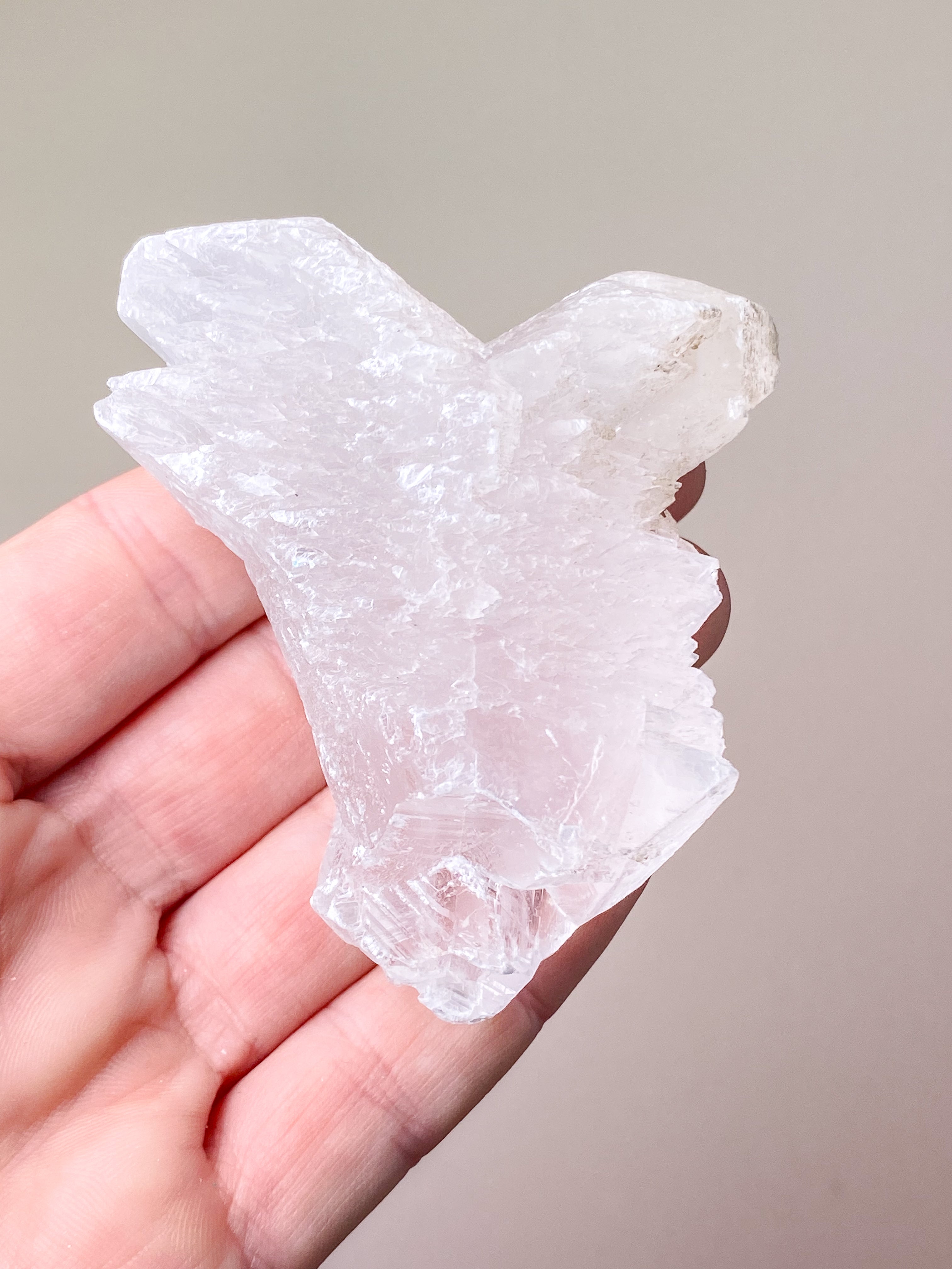 Fishtail/Angels Wing Selenite (No. 9) Exclusive Quality