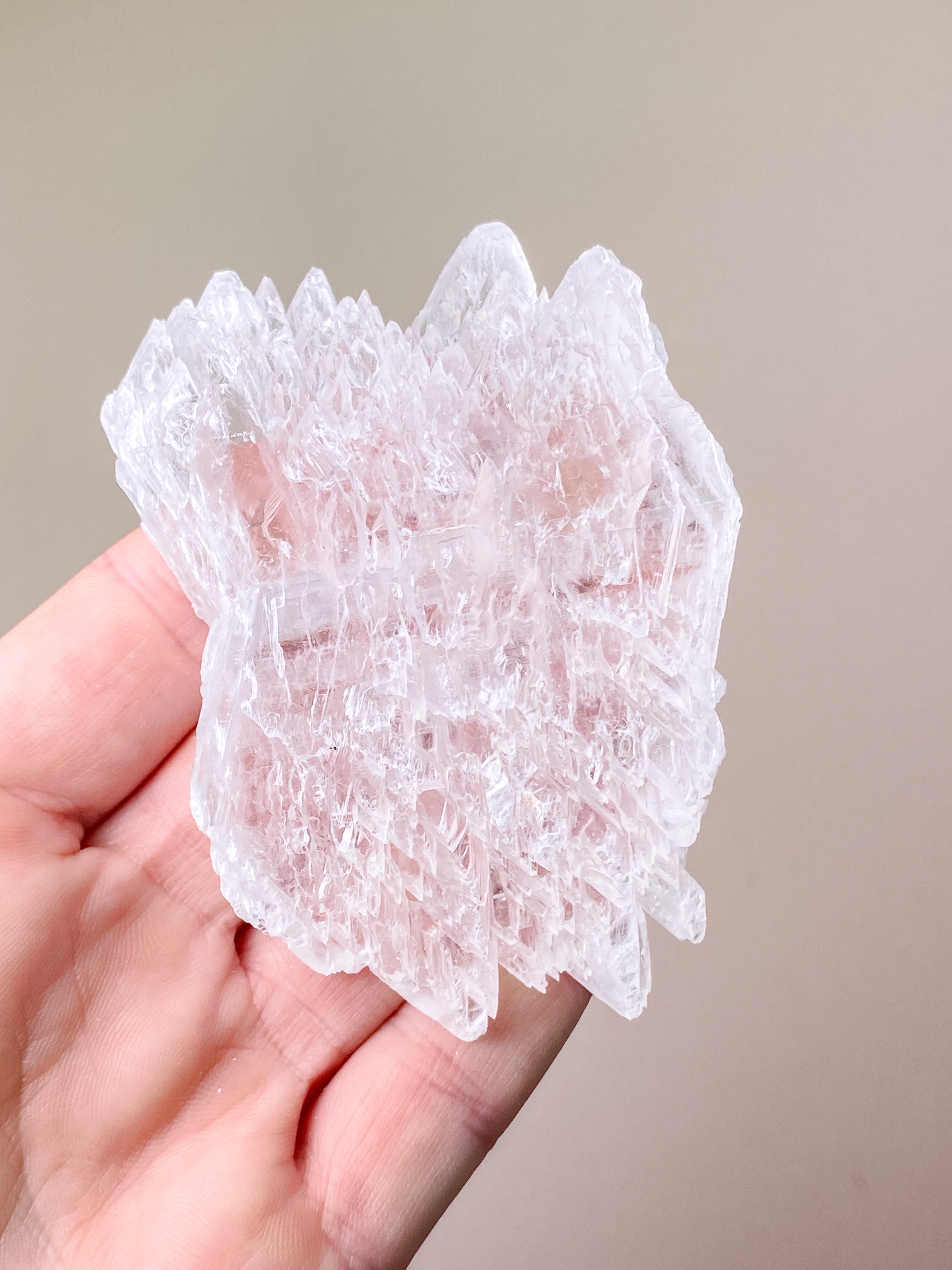 Fishtail/Angels Wing Selenite (No. 9) Exclusive Quality