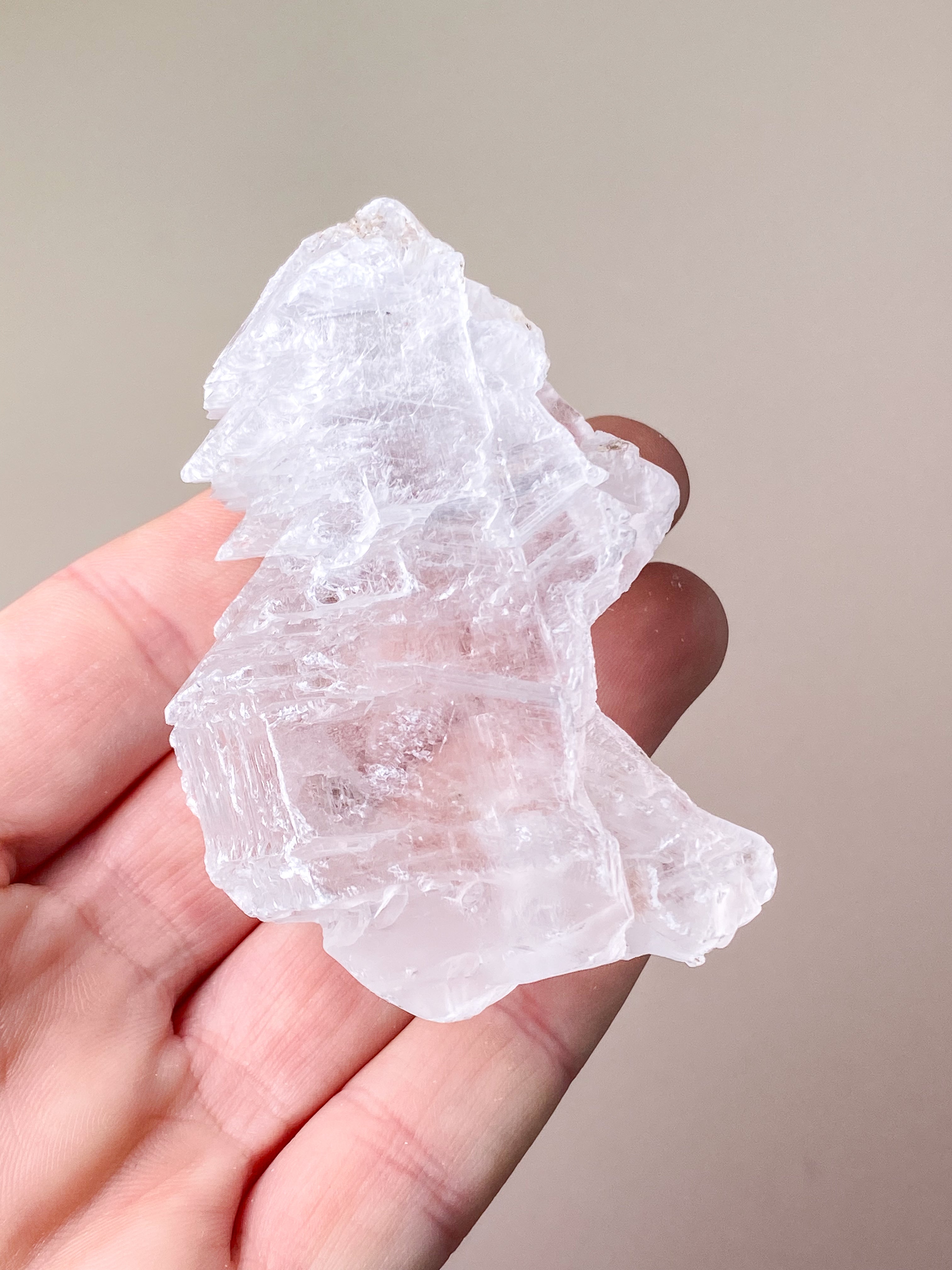 Fishtail/Angels Wing Selenite (No. 9) Exclusive Quality